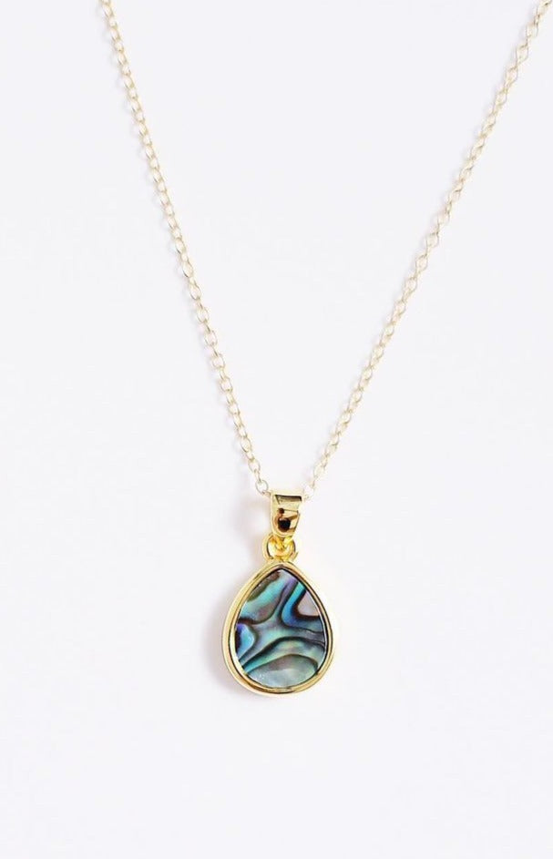Abalone