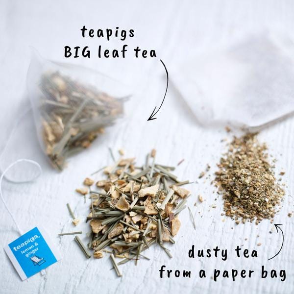 Teapigs Lemon Ginger Herbal Tea Bags - Caffeine-Free, Natural Ingredients for Digestion & Immunity - Perfect for Cold Relief & Relaxation at Home or Office