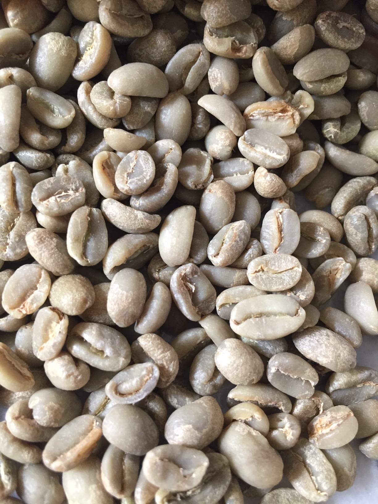 3lbs Unroasted Green Coffee Beans - Ethiopia Yirgacheffe Specialty Grade - Raw Coffee Beans for Home Roasting - Perfect for Espresso, Cold Brew & French Press - Martini Coffee Roasters