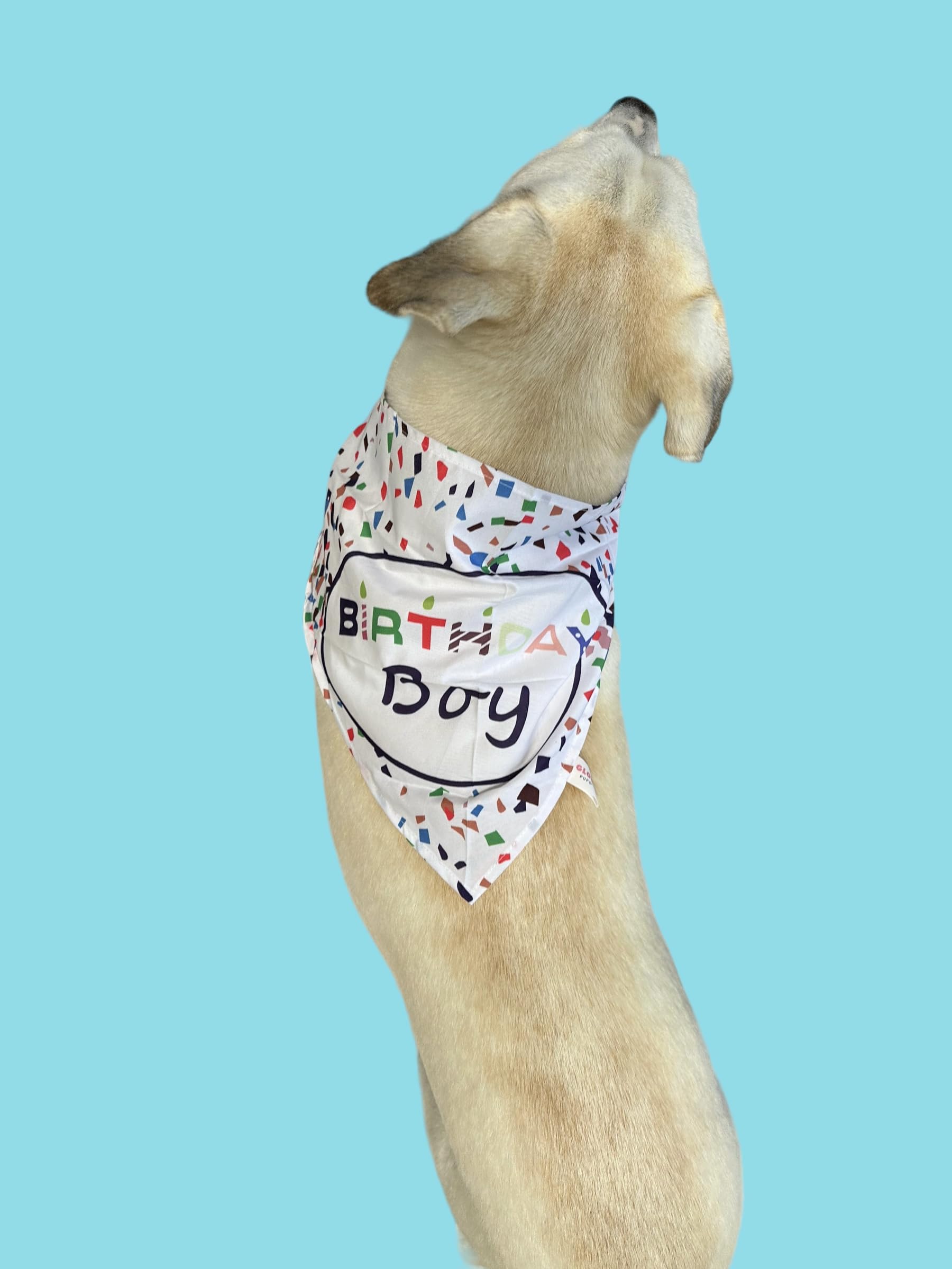 Dog Birthday Bandana for Birthday Boy - Cute Pet Bandana for Birthday Parties & Celebrations