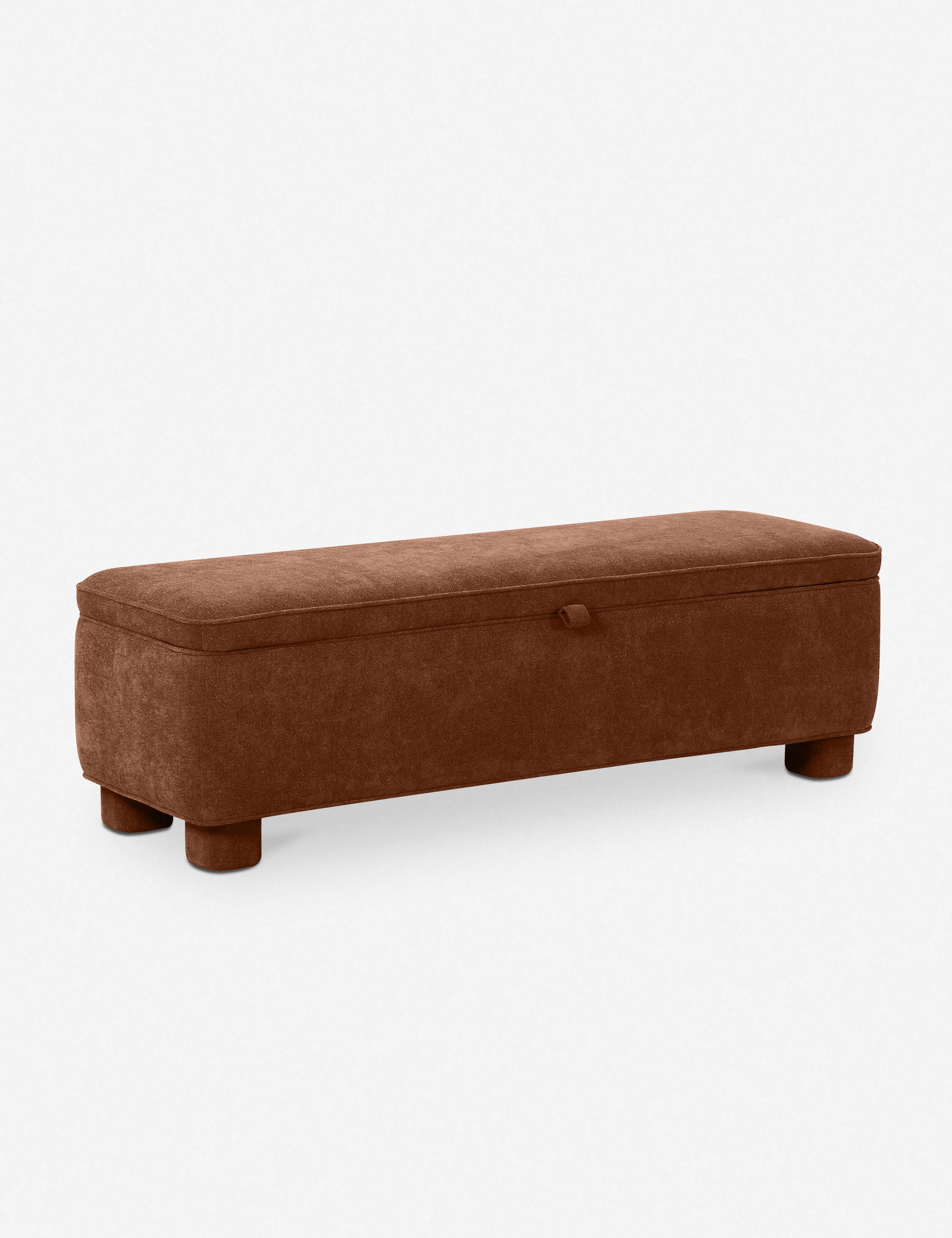 Asner Storage Bench - Foldable Entryway Bench with Cushion, Shoe Storage Ottoman for Living Room, Bedroom & Hallway - Perfect for Small Spaces & Home Organization