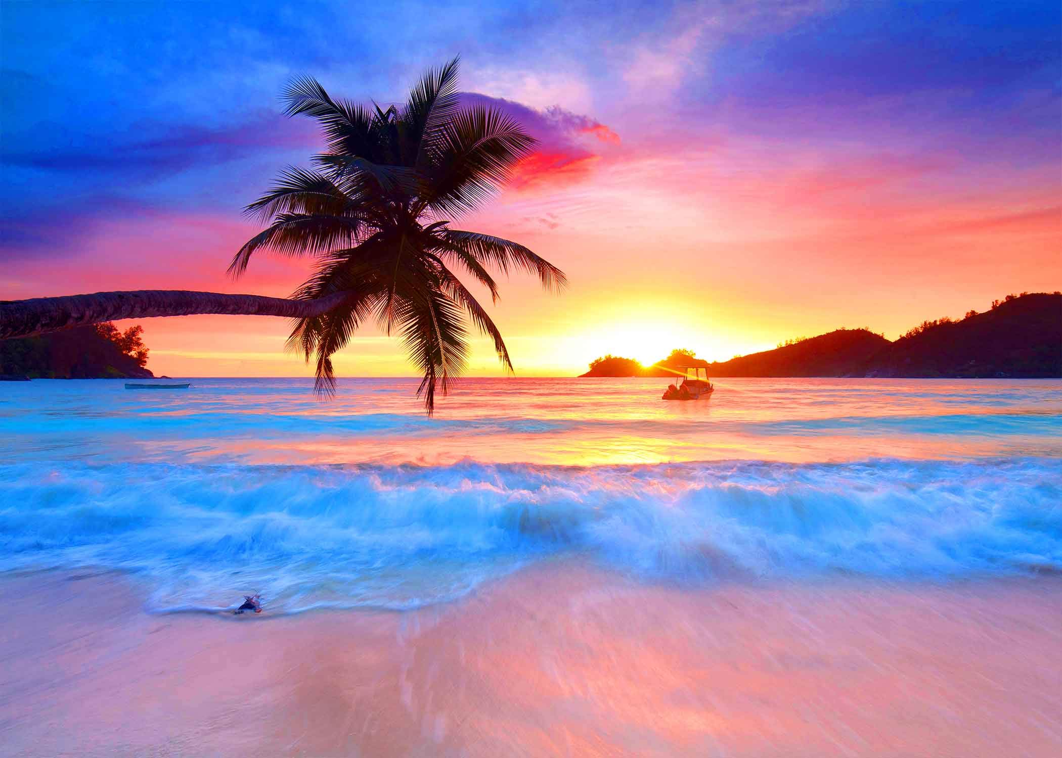 Beach Backdrop with Seaside Palm Tree & Sunset - Photography Background for Vacation Photos, Party Decor, Social Media & Home Wall Art