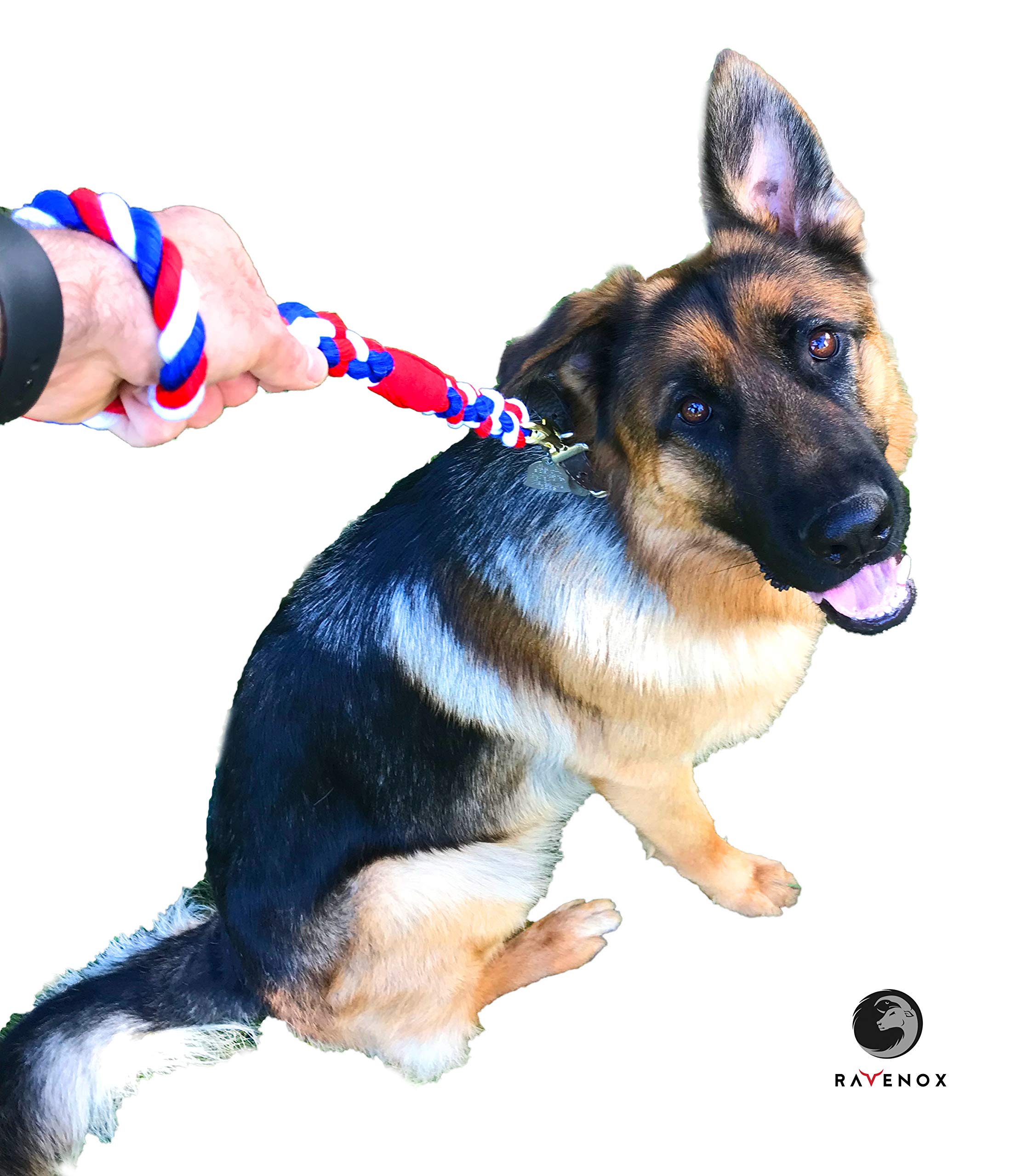 Ravenox 16-inch Cotton Rope Dog Leash with Traffic Handle | Strong & Comfortable Pet Leash for Small, Medium & Large Dogs | Handmade in USA with 100% American-Made Rope | Perfect for Walking, Training & Outdoor Adventures (Black)