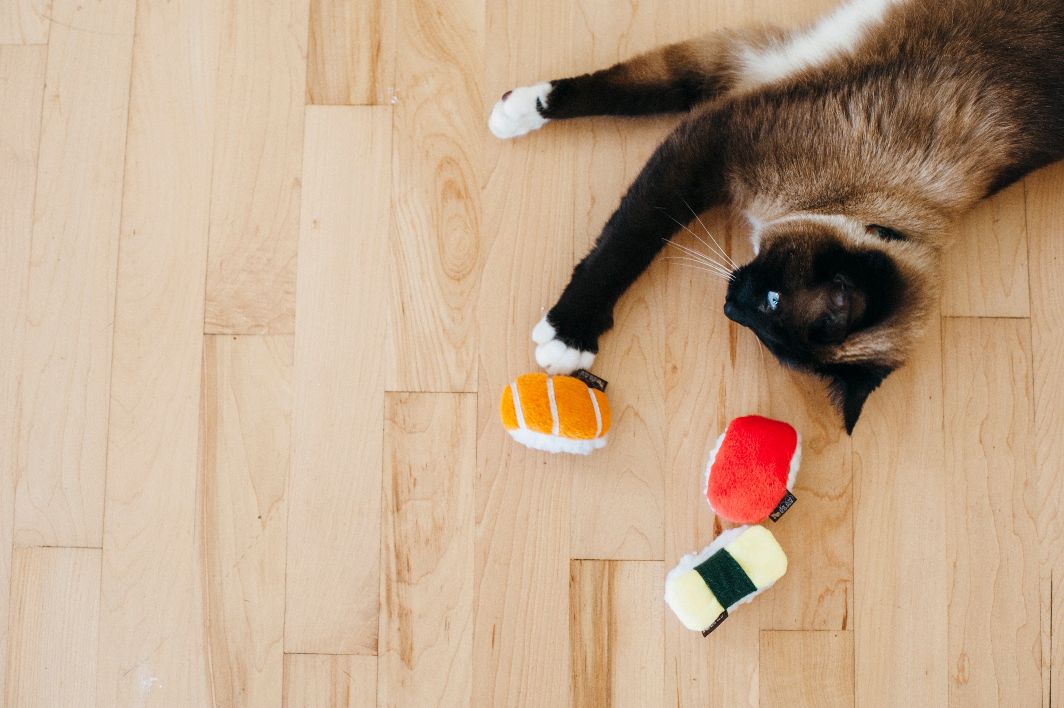 Feline Frenzy Catnip Toy for Cats - Sassy Sushi (3-Piece Set) | Pet P.L.A.Y. - Interactive Play & Stress Relief for Indoor Cats