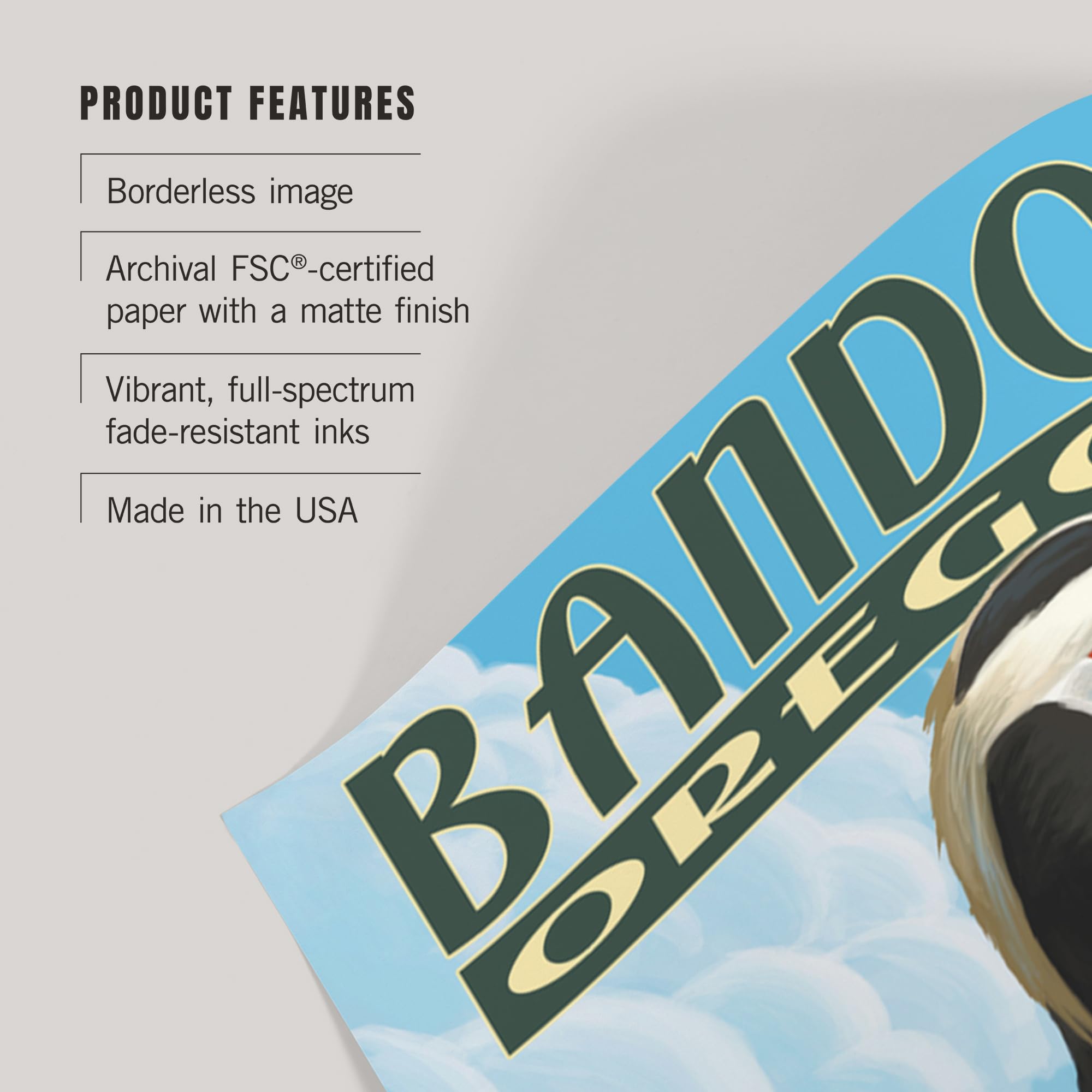 Lantern Press 16x24 Inch Giclee Art Print - Bandon Oregon Coastal Puffin Wall Decor | Premium Quality Fine Art Reproduction for Living Room, Bedroom & Office Decor