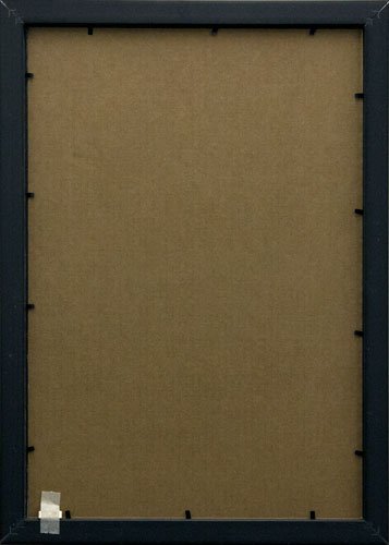 Frame USA Budget Saver Series 13x19 Polystyrene Poster Frames - Black - Lightweight & Durable Wall Display for Photos, Artwork & Posters - Perfect for Home, Office & Classroom Decor
