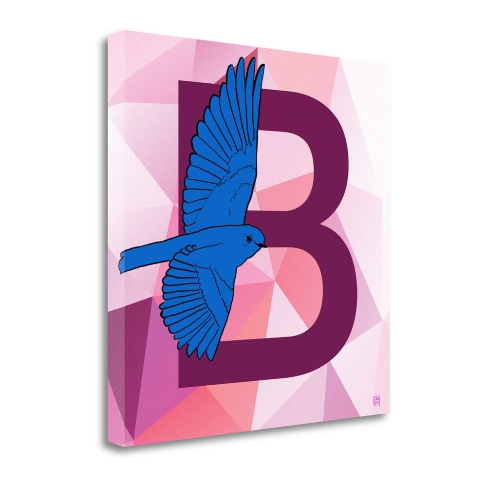 B By Aubree Perrenoud - Premium Fine Art Giclee Print on Gallery Wrapped Canvas - Ready to Hang Wall Art - Perfect for Living Room, Bedroom & Office Decor