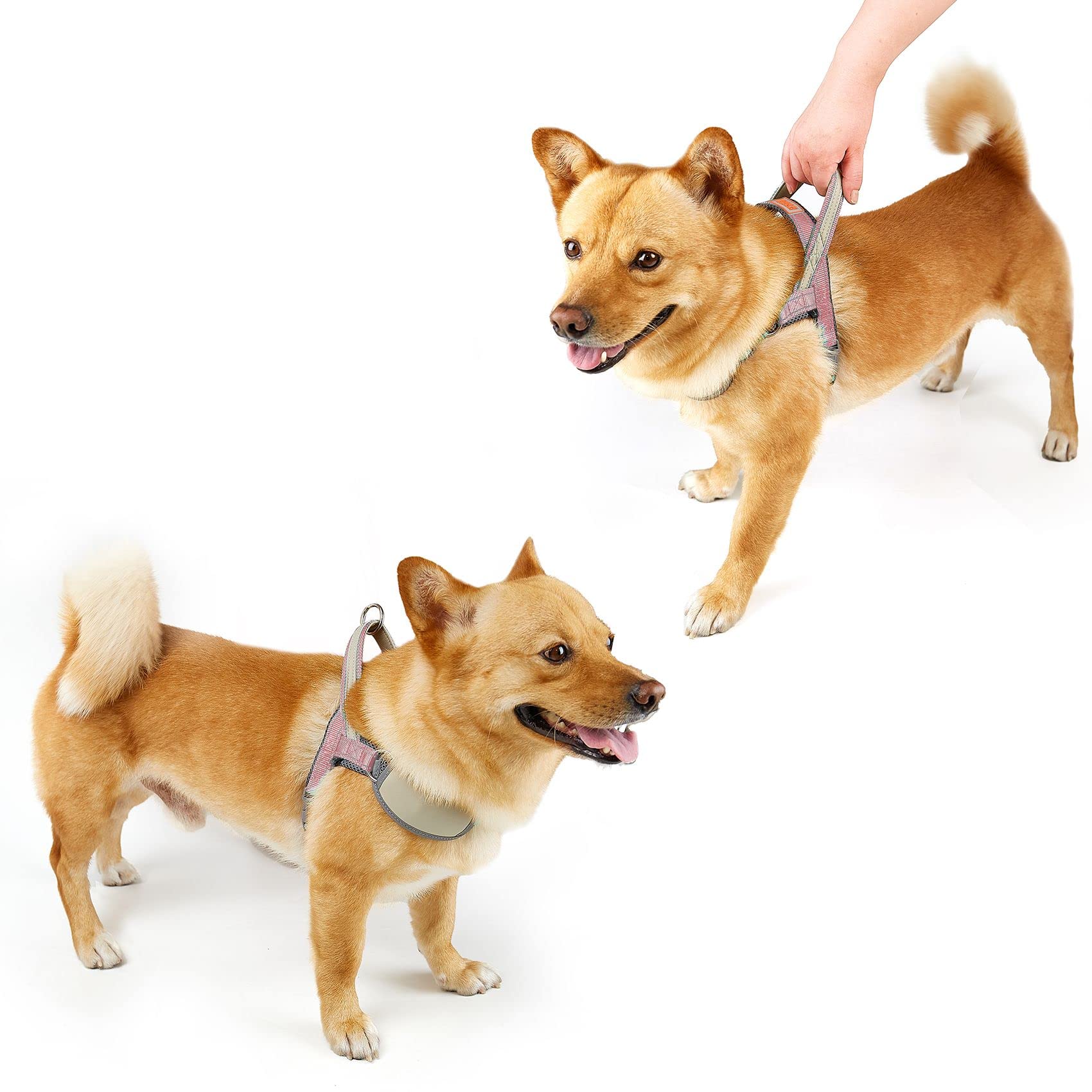 No Pull Dog Harness - Adjustable Reflective Breathable Vest for Small to Medium Dogs | Soft Mesh Padded Step-in Design with Easy Control Handle | Perfect for Walking, Training & Outdoor Adventures