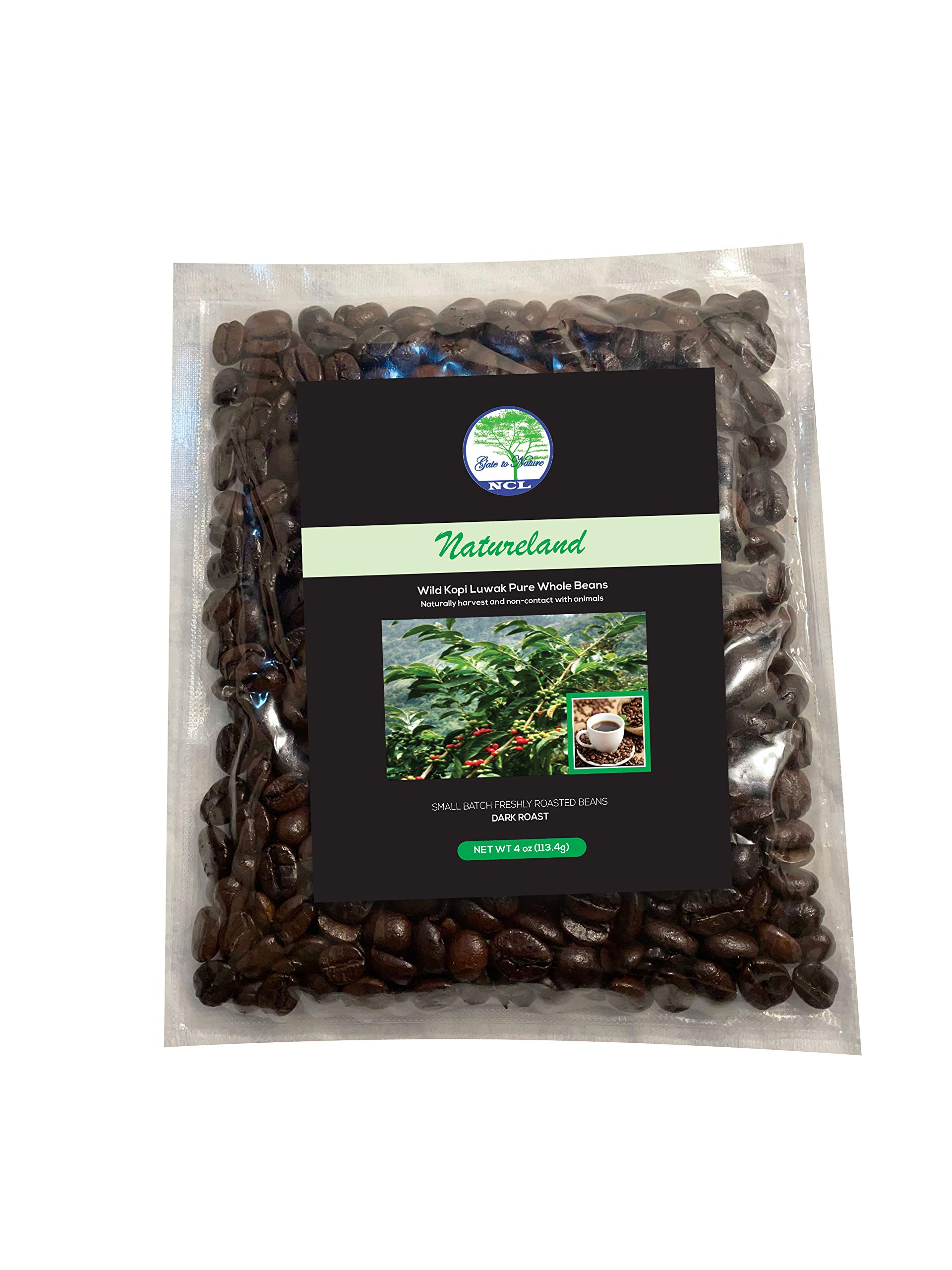 Premium Wild Civet Arabica Coffee Whole Beans - Freshly Roasted Luxury Kopi Luwak Coffee from Vietnam | Dark Roast Civet Coffee Gift Set (4oz/113g) | Best for Gourmet Coffee Lovers, Special Occasions & Unique Gifts