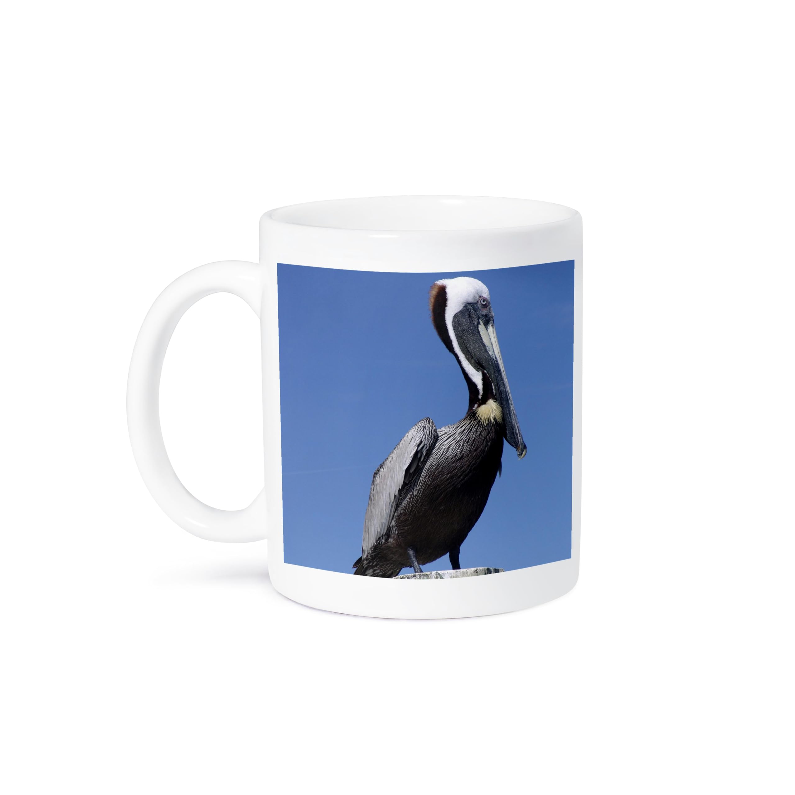 3dRose Pelican Stare Ceramic Coffee Mug - 11 oz White Gift Mug for Tea & Hot Drinks - Perfect for Office, Home, or Camping Use