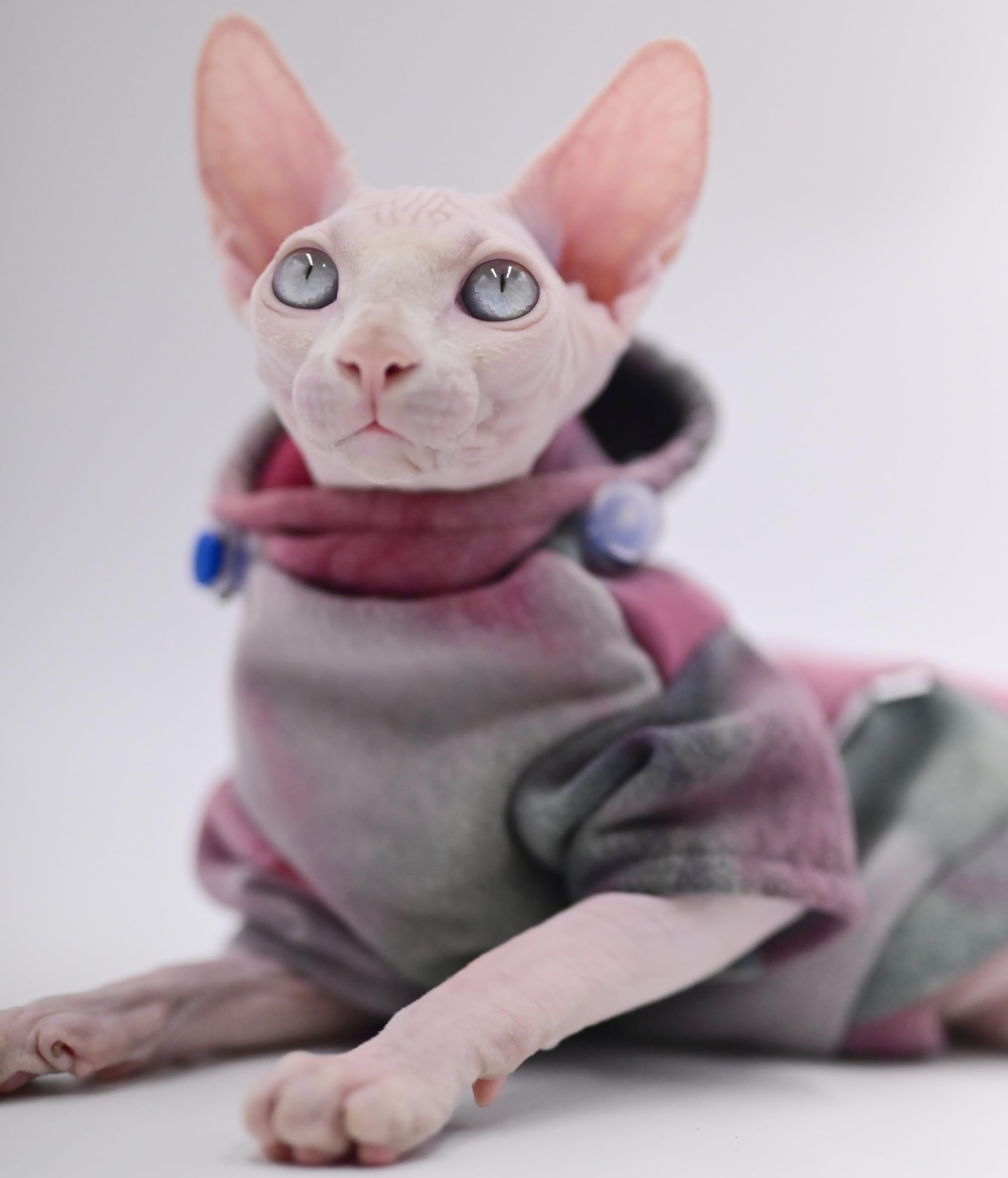 Warm Fleece Hoodie for Hairless Cats - Winter Cat Clothes for Sphynx, Devon Rex & Peterbald | Cozy Indoor & Outdoor Pet Apparel (Size M)