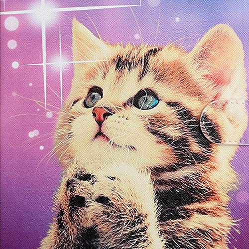 Star Cat
