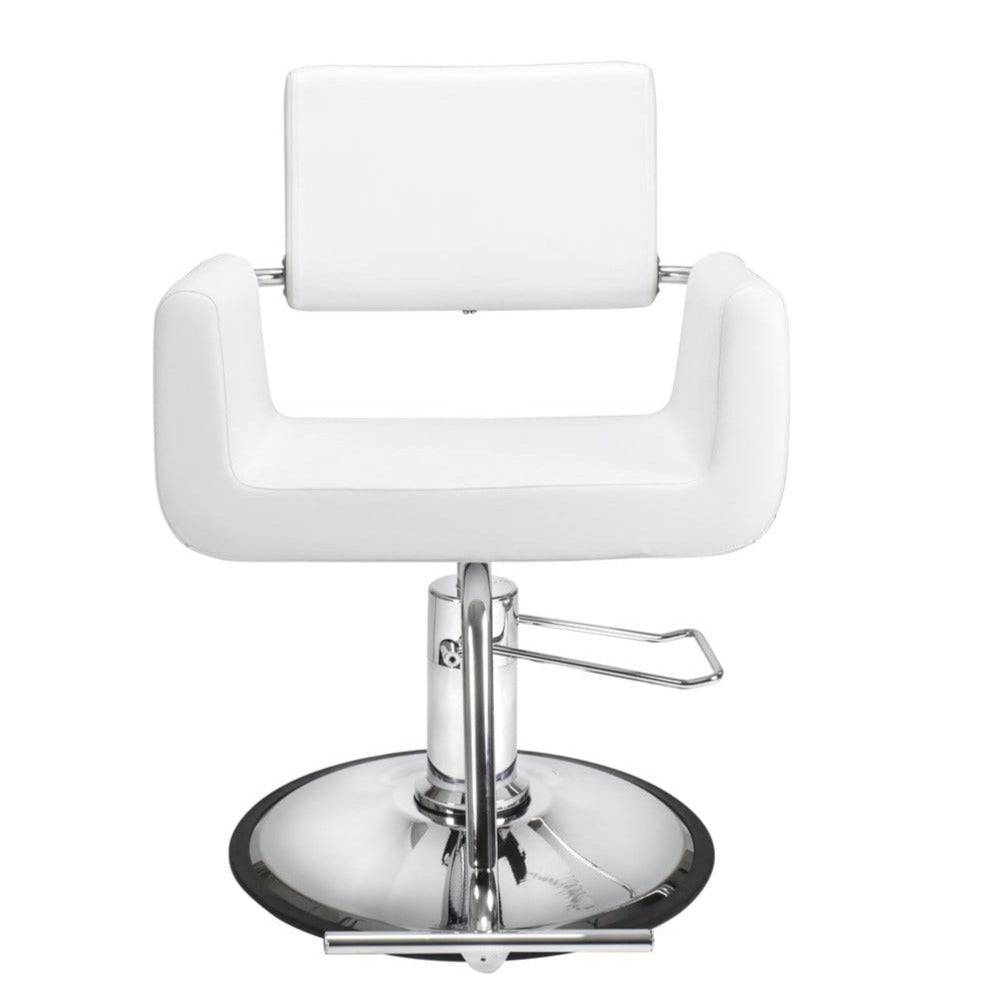 Modern Salon Styling Chair - Adjustable Hydraulic Hairdressing Chair with Swivel Base for Barber & Beauty Salon - Perfect for Hair Cutting, Coloring & Styling Services
