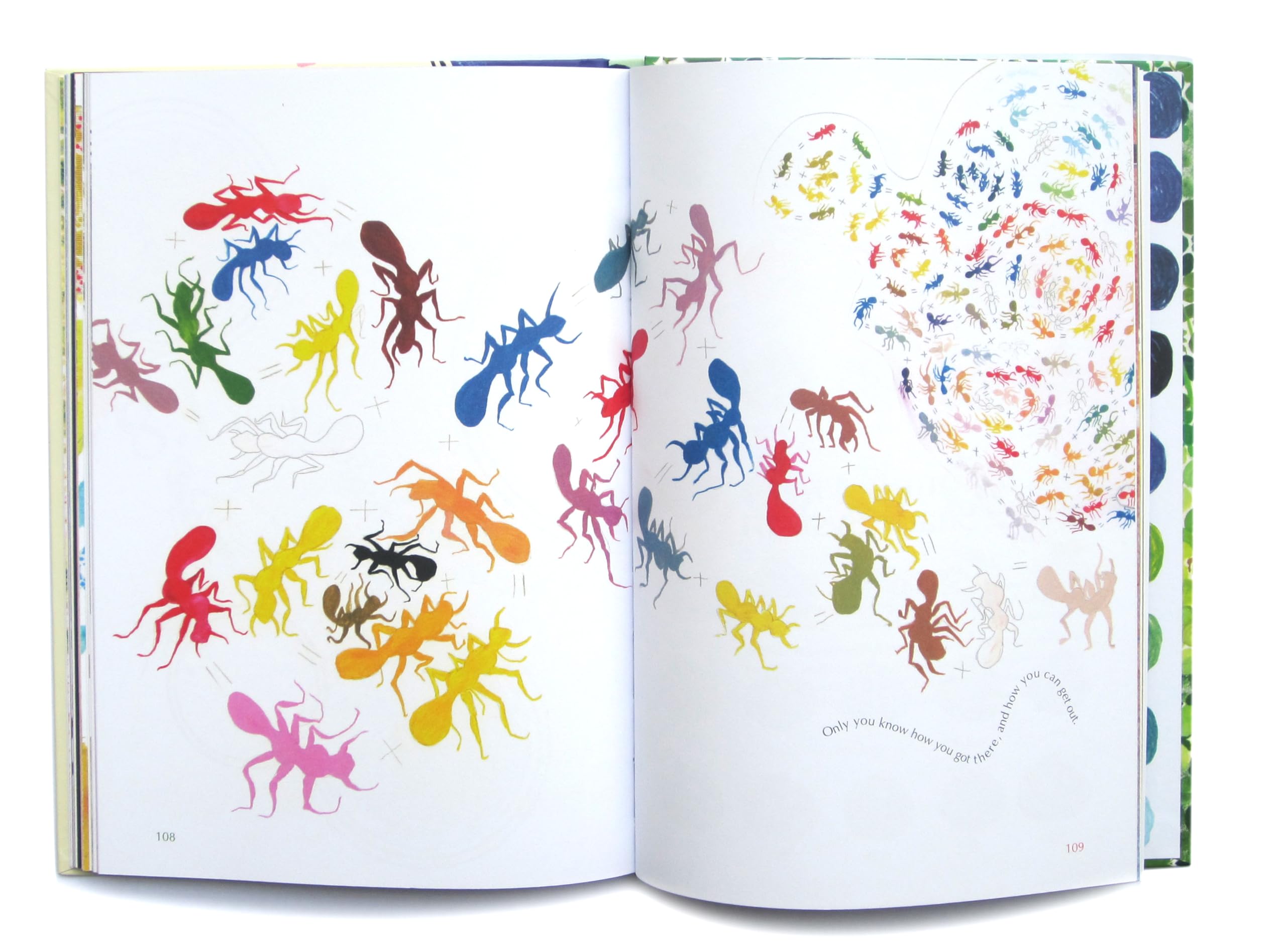 The Color Book - Vibrant & Engaging Coloring Book for Kids & Adults | Perfect for Relaxation, Creativity & Stress Relief