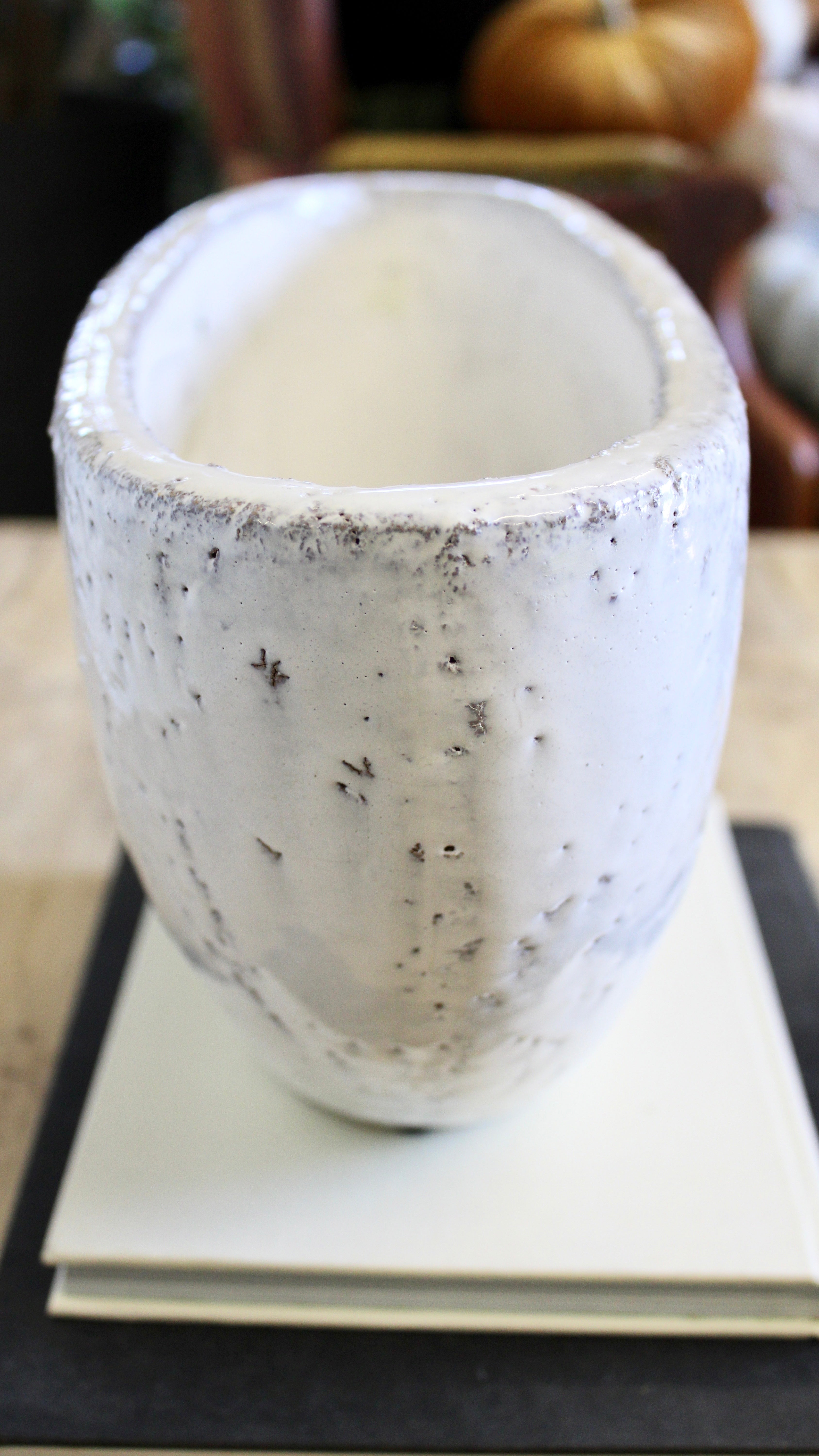 Glazed White Oval Planter - Modern Ceramic Flower Pot for Indoor Plants, Succulents & Home Decor | Perfect for Living Room, Office & Garden Décor