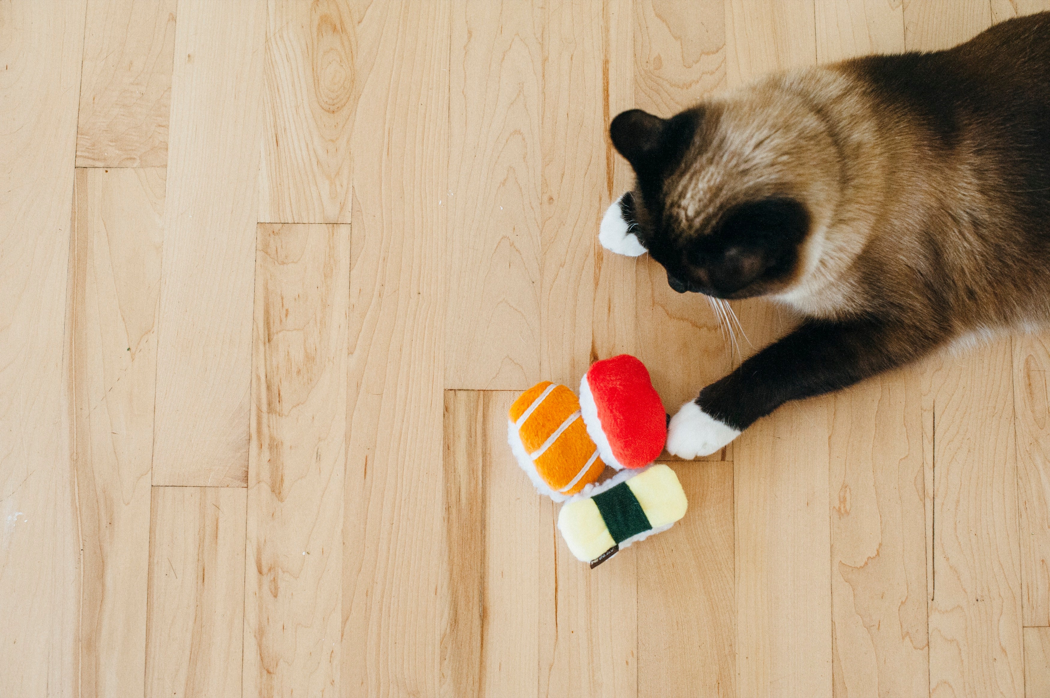 Feline Frenzy Catnip Toy for Cats - Sassy Sushi (3-Piece Set) | Pet P.L.A.Y. - Interactive Play & Stress Relief for Indoor Cats