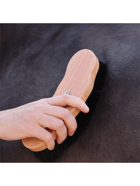 Premium Wooden Dandy Brush for Horses - Natural Bristle Grooming Tool for Shiny Coat & Massage - Perfect for Stable, Show & Daily Horse Care