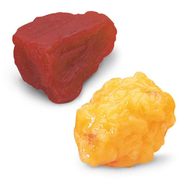 1 lb Fat & Muscle Replica Set - Realistic Anatomy Model for Medical Training, Education & Demonstration - Perfect for Students, Doctors & Healthcare Professionals