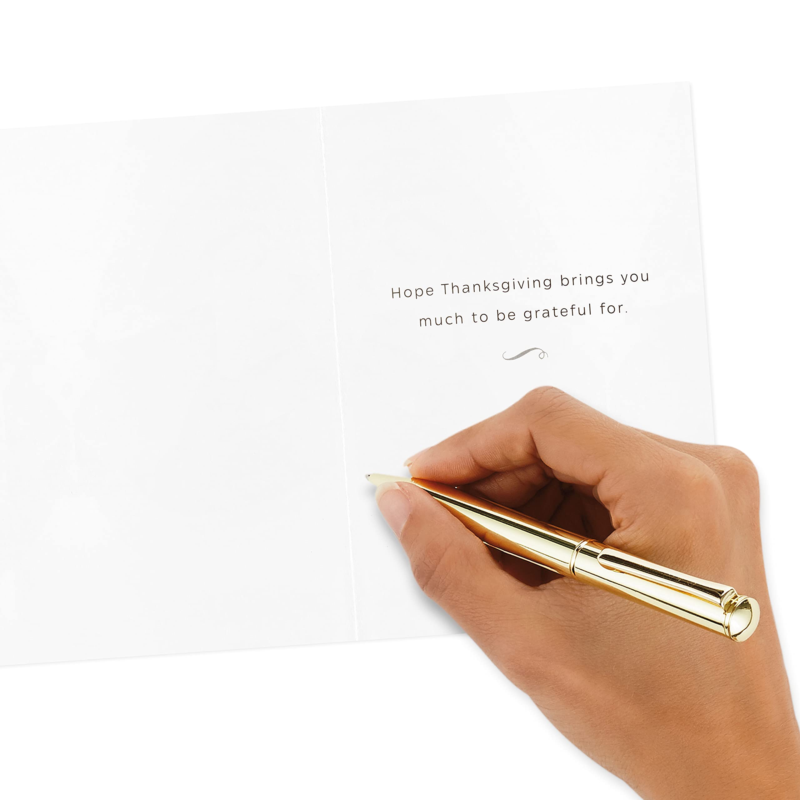 Hallmark Thanksgiving Greeting Cards - 36 Assorted Thankful Cards with Envelopes for Family & Friends | Perfect for Holiday Wishes, Office Parties & Home Decor