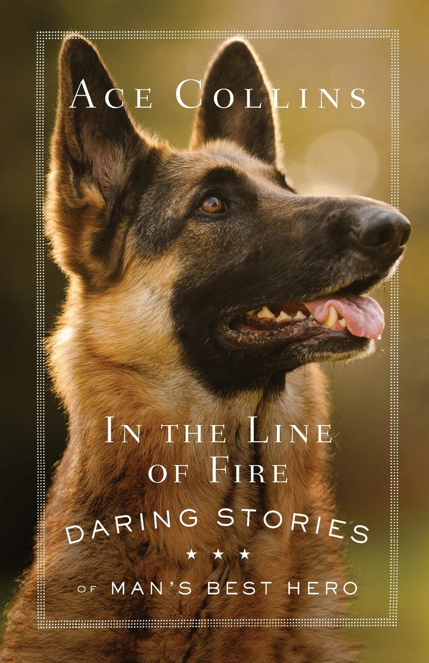 Brave Firefighter Stories: Heroic Tales of Man's Best Friend in Action | Inspiring Rescue Missions for Dog Lovers & First Responders