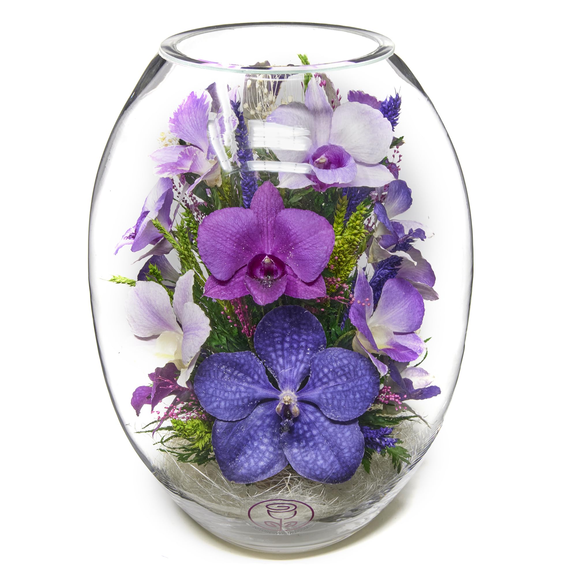 Fresh Cut Orchids in Sealed Glass Vase - Long Lasting Preserved Bouquet Lasts 5+ Years | No Water Needed & Allergy Free | Unique Gift for Birthday, Anniversary, Wedding, Home & Office Decor