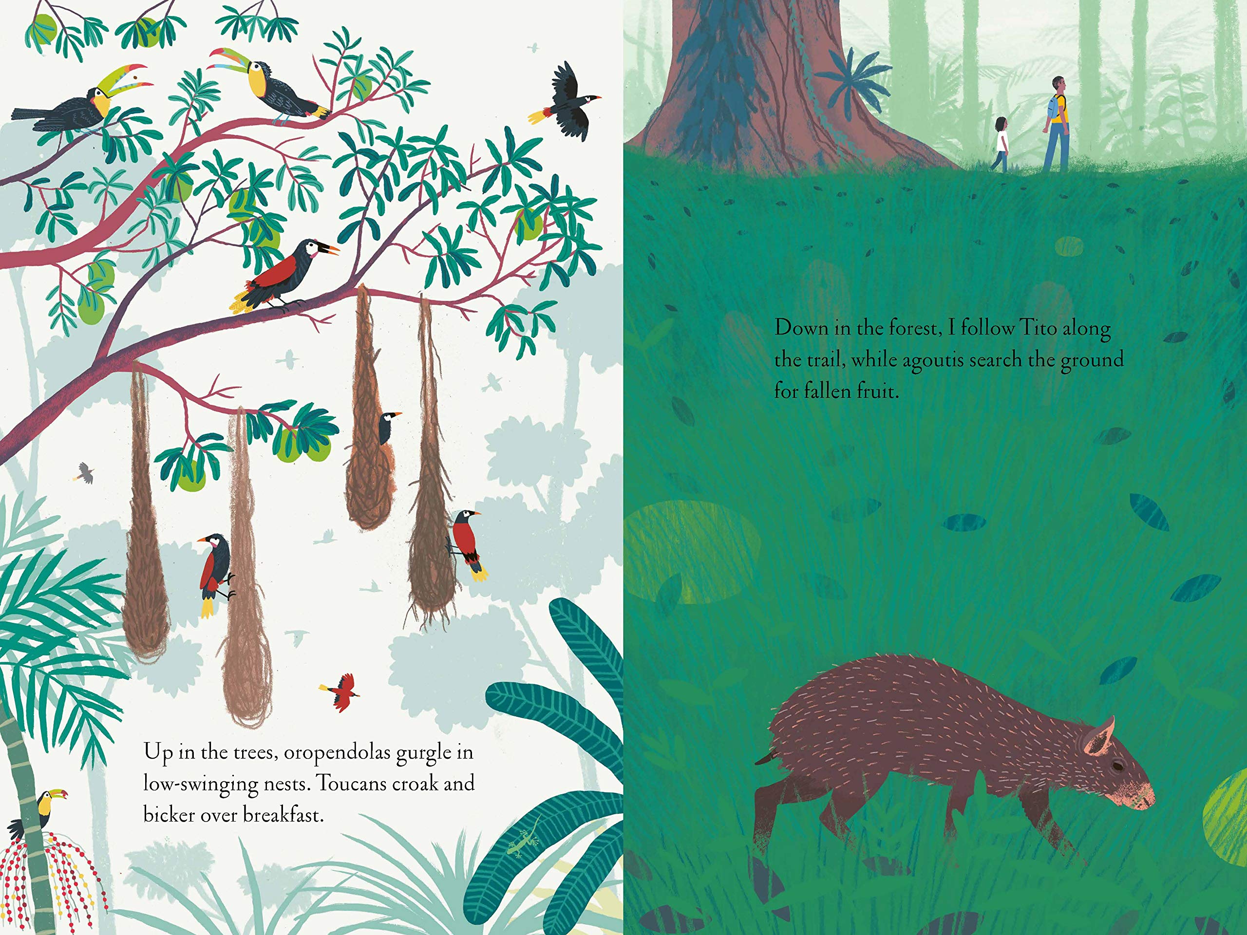 Over and Under the Rainforest - Kids Educational Book About Jungle Animals & Ecosystems | Perfect for Classroom Learning & Nature Exploration