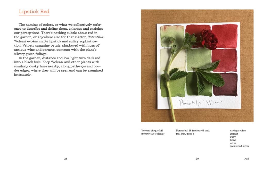 Color In and Out of the Garden: Watercolor Painting Techniques for Artists, Gardeners & Nature Lovers - Perfect for Botanical Art, Nature Journaling & Relaxation