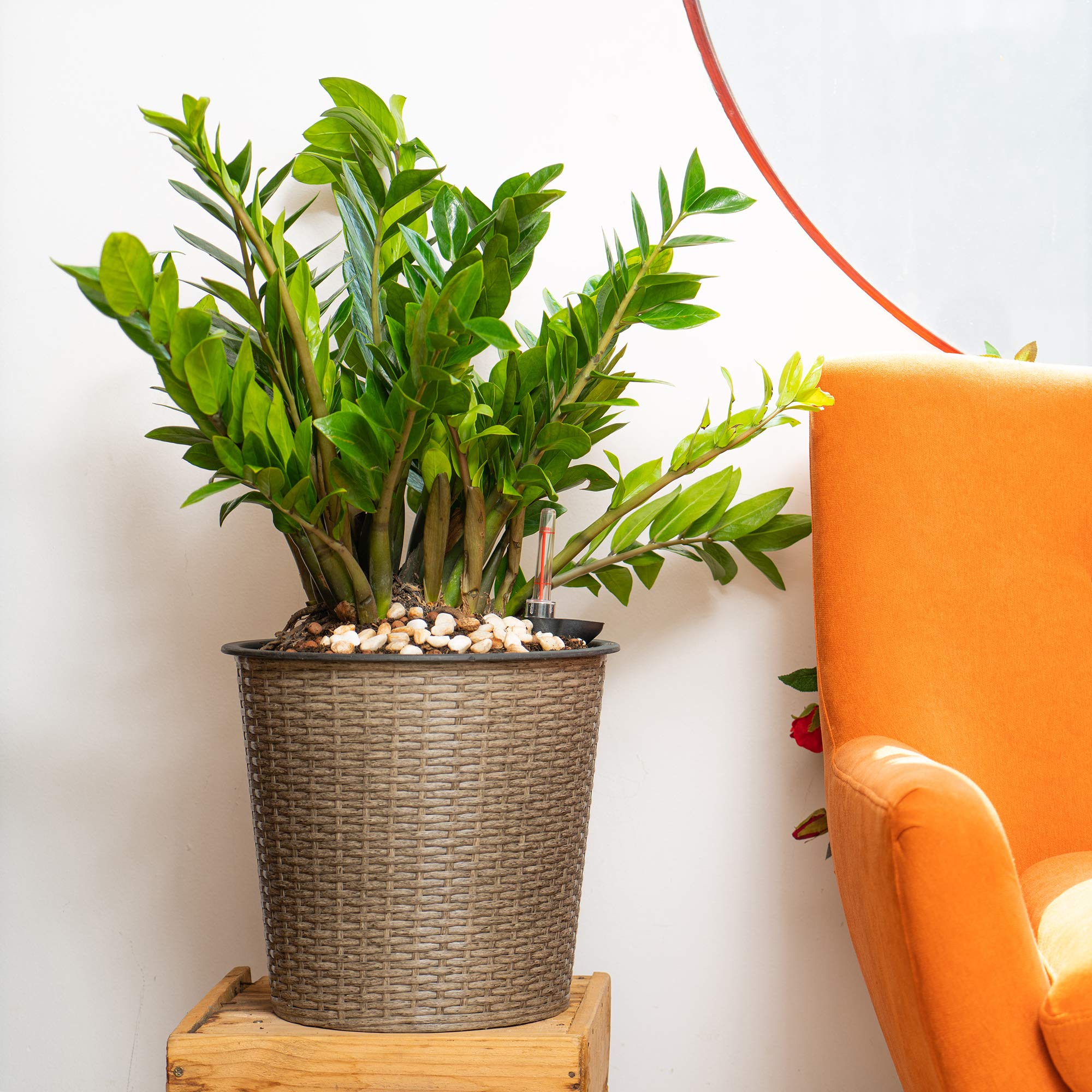 Smart Self-Watering 13.4