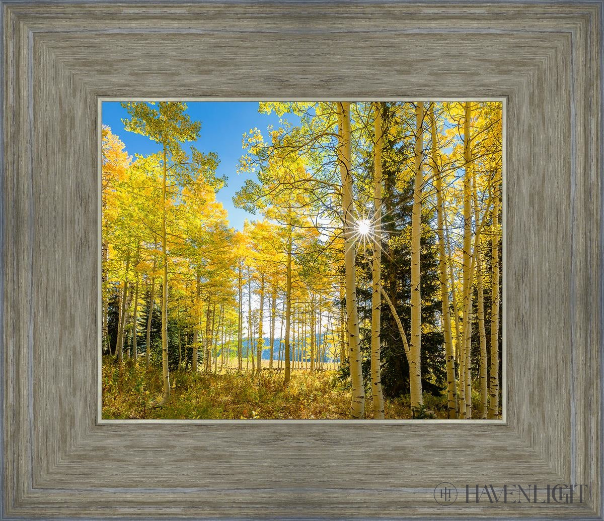 Autumn in the Rocky Mountains - Stunning Fall Foliage at Wasatch National Forest Utah | Perfect for Hiking, Photography & Nature Exploration