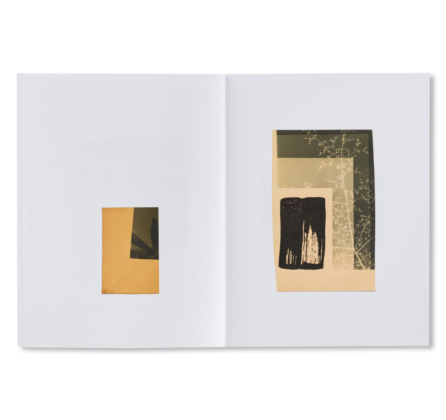 LEFTOVERS by Bruno V. Roels - Limited Edition Art Photography Book for Modern Home Decor & Coffee Table Display | Perfect Gift for Art Collectors and Photography Enthusiasts