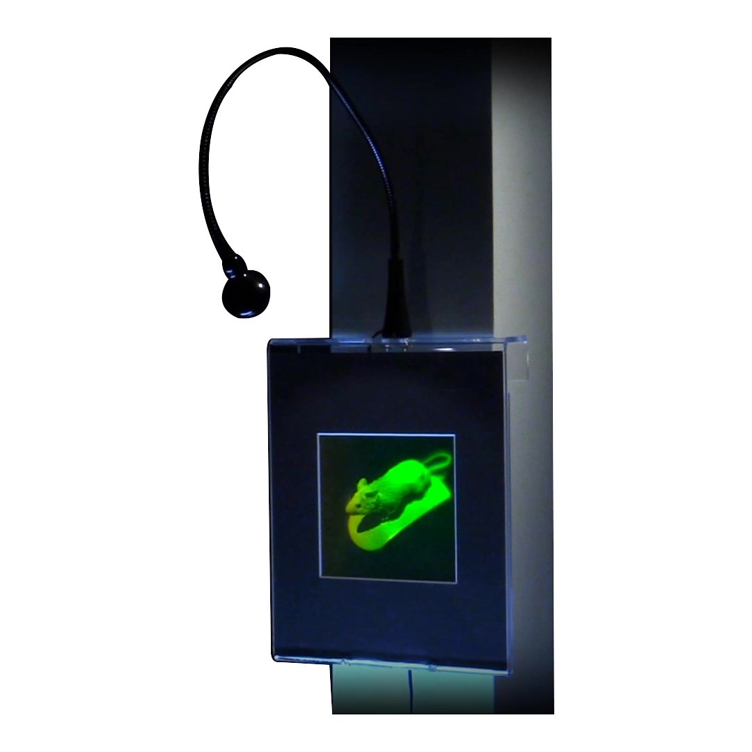 3D Holographic Mouse Multi-Channel Wall Art Display with LED Lights - Collectible Photopolymer Film for Home Decor, Office & Gaming Room Aesthetic Enhancement