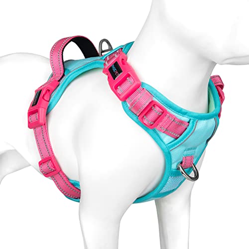 Mint Green Base & Pink Straps