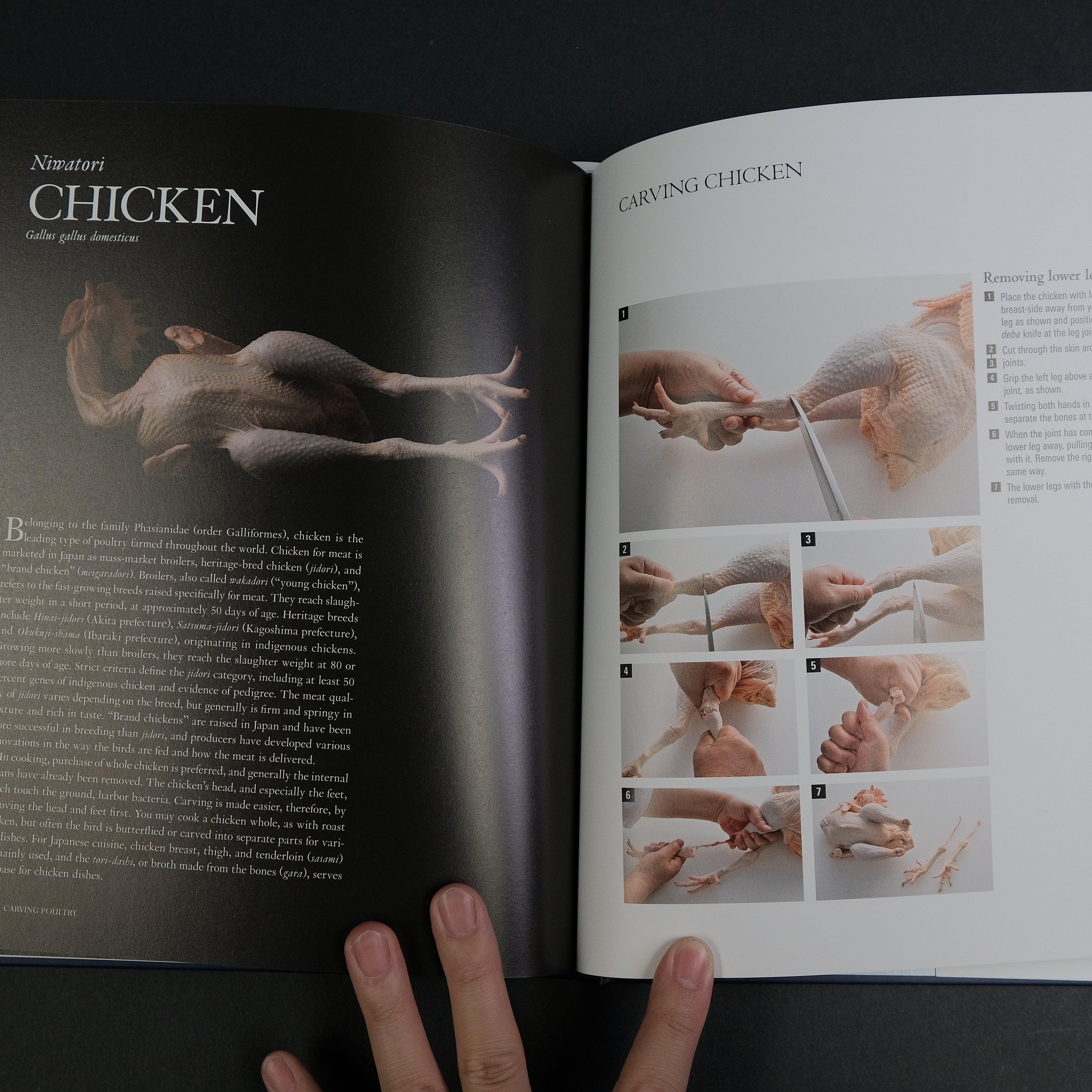 Japanese Culinary Academy MUKOITA II: Professional Cutting Techniques for Seafood, Poultry & Vegetables - English Edition | Perfect for Sushi Chefs, Home Cooks & Culinary Students