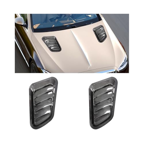 Carbon Fiber