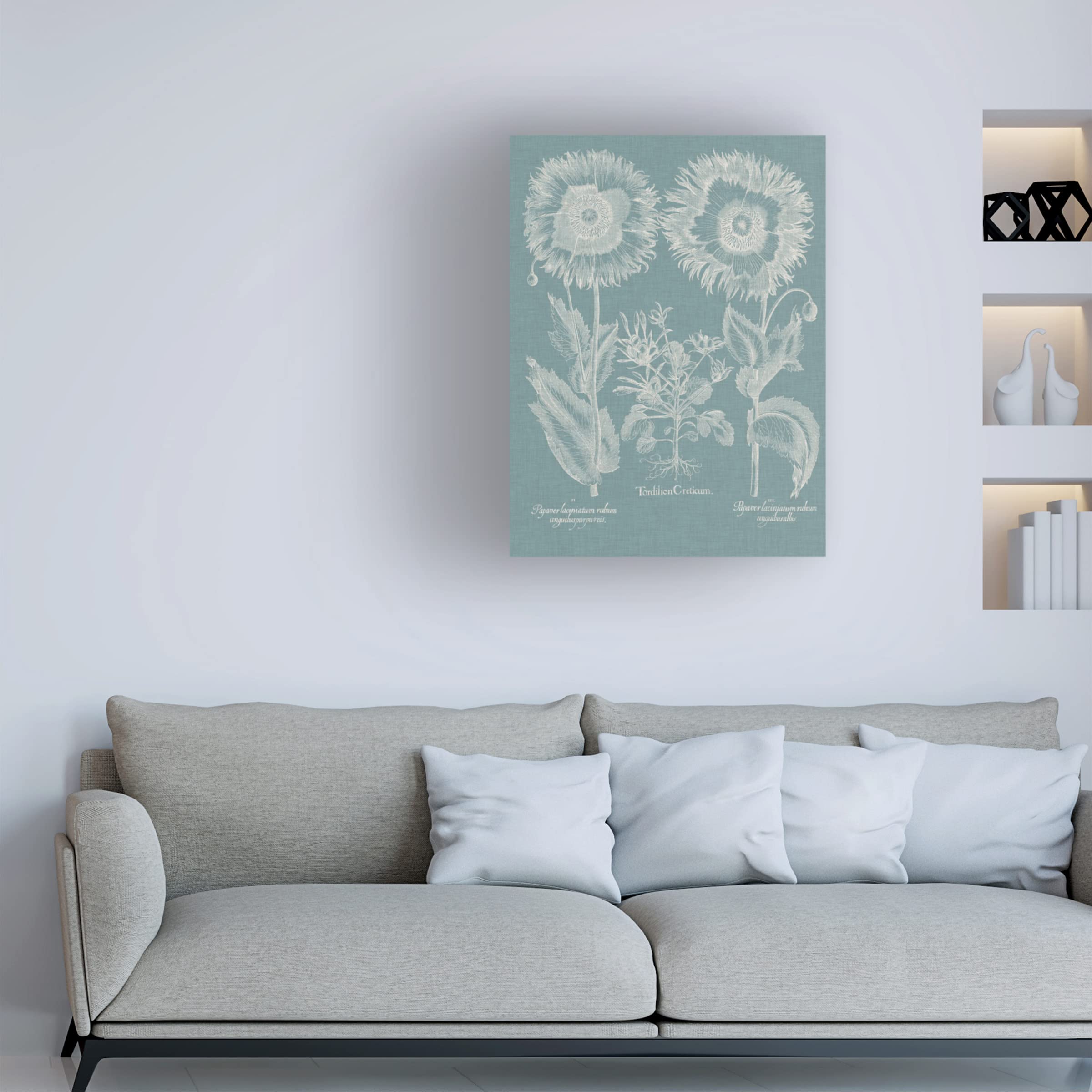 Trademark Fine Art 'Besler Poppies I' Canvas Wall Art Print by Basilius Besler - Vibrant Floral Home Decor for Living Room, Bedroom & Office