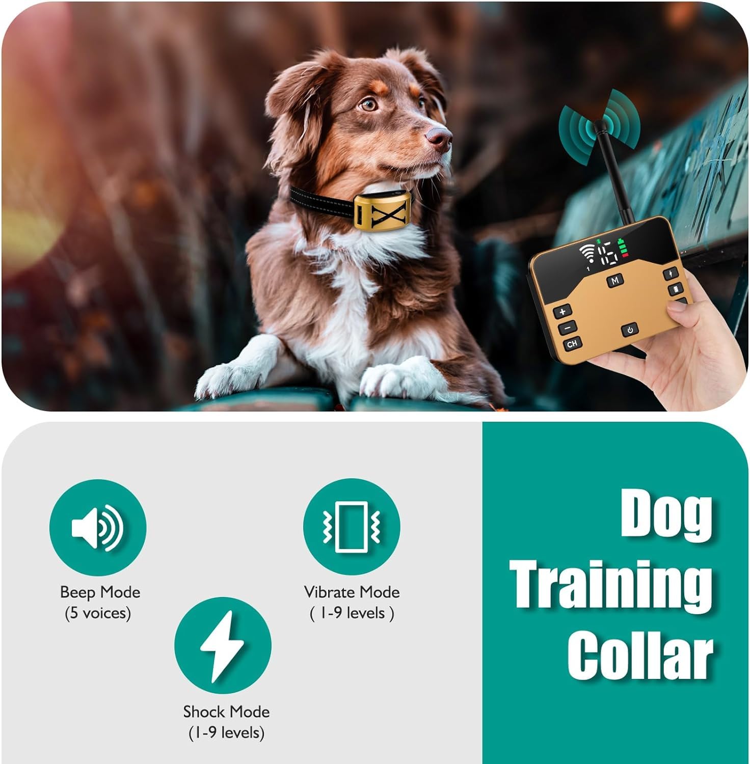 ABHY Wireless Dog Fence System - Adjustable Electric Pet Fence & Training Collar Remote (2023 Model) for Large & Medium Dogs | Indoor/Outdoor Use, Backyard Containment, Dog Training Solution