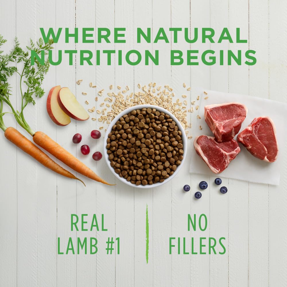 Premium Lamb & Oatmeal Dry Dog Food for All Breeds - Natural Grain-Free Recipe, 24lb Bag - Supports Healthy Skin & Coat - Ideal for Adult Dogs & Sensitive Stomachs