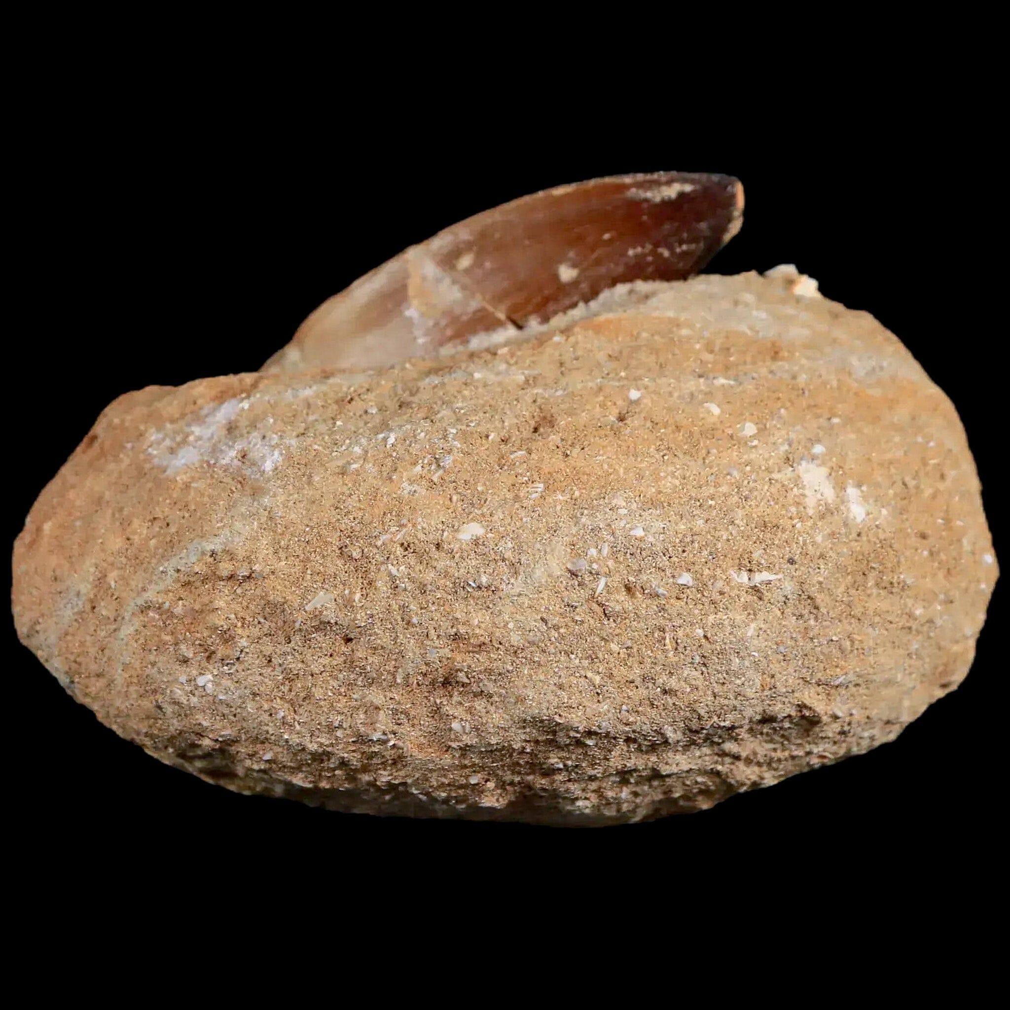 1.8