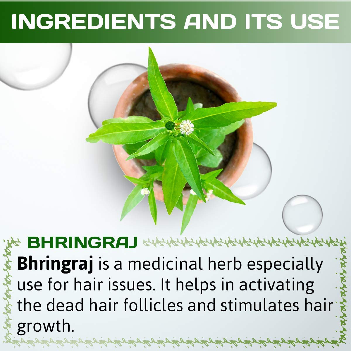 **Aayush Herbal Bhringraj Powder 100g - Natural Hair Growth & Conditioning Treatment for Thicker, Stronger Hair - Promotes Scalp Health & Reduces Hair Fall - Ideal for DIY Hair Masks & Ayurvedic Hair Care**