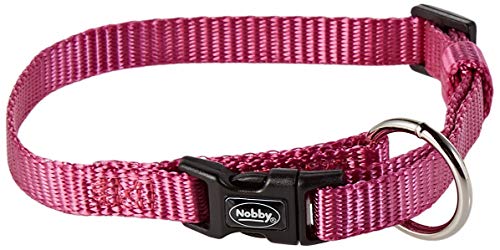 raspberry