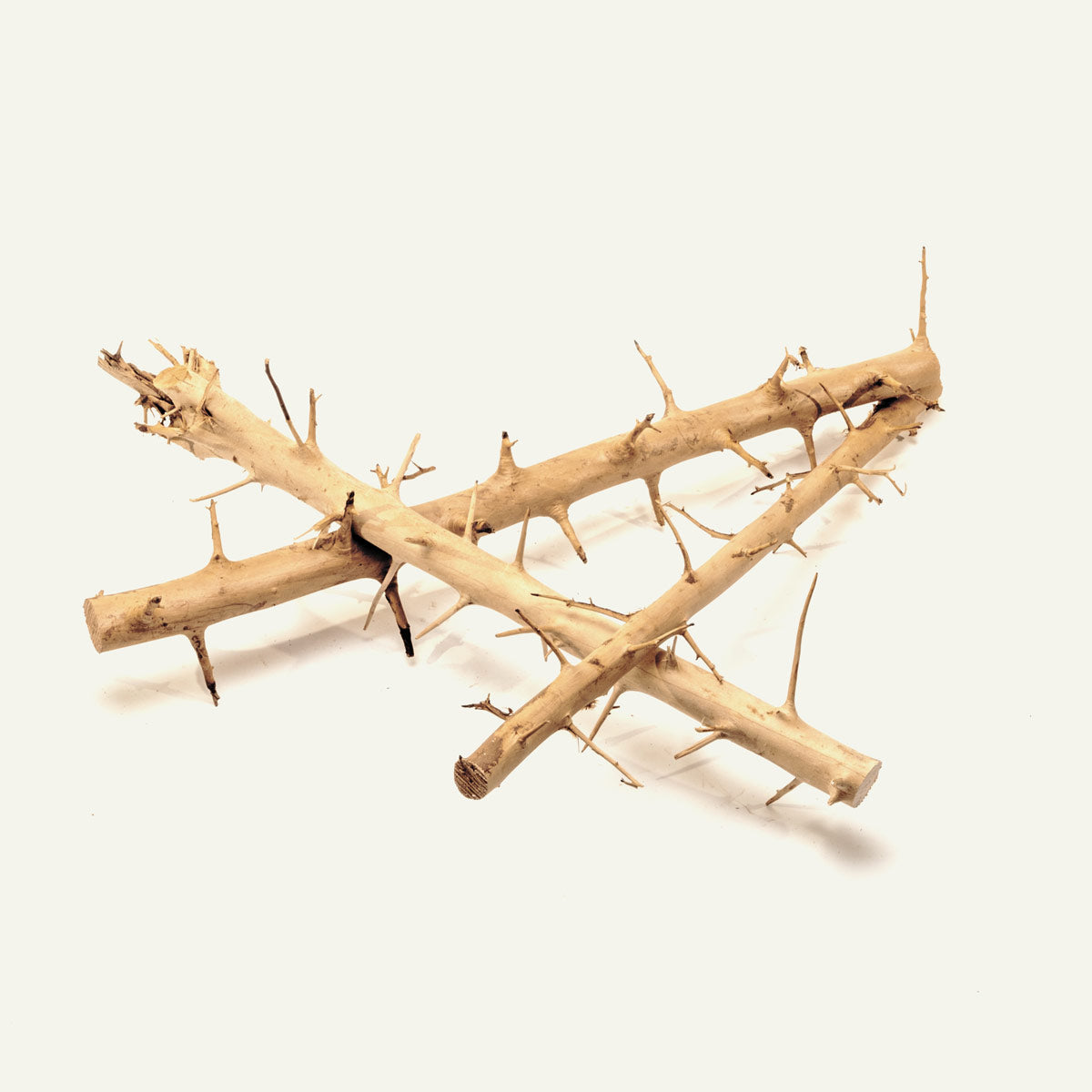 Premium Thorn Wood for DIY Crafts, Home Decor, and Woodworking Projects – Perfect for Rustic Furniture, Wall Art, and Handmade Gifts