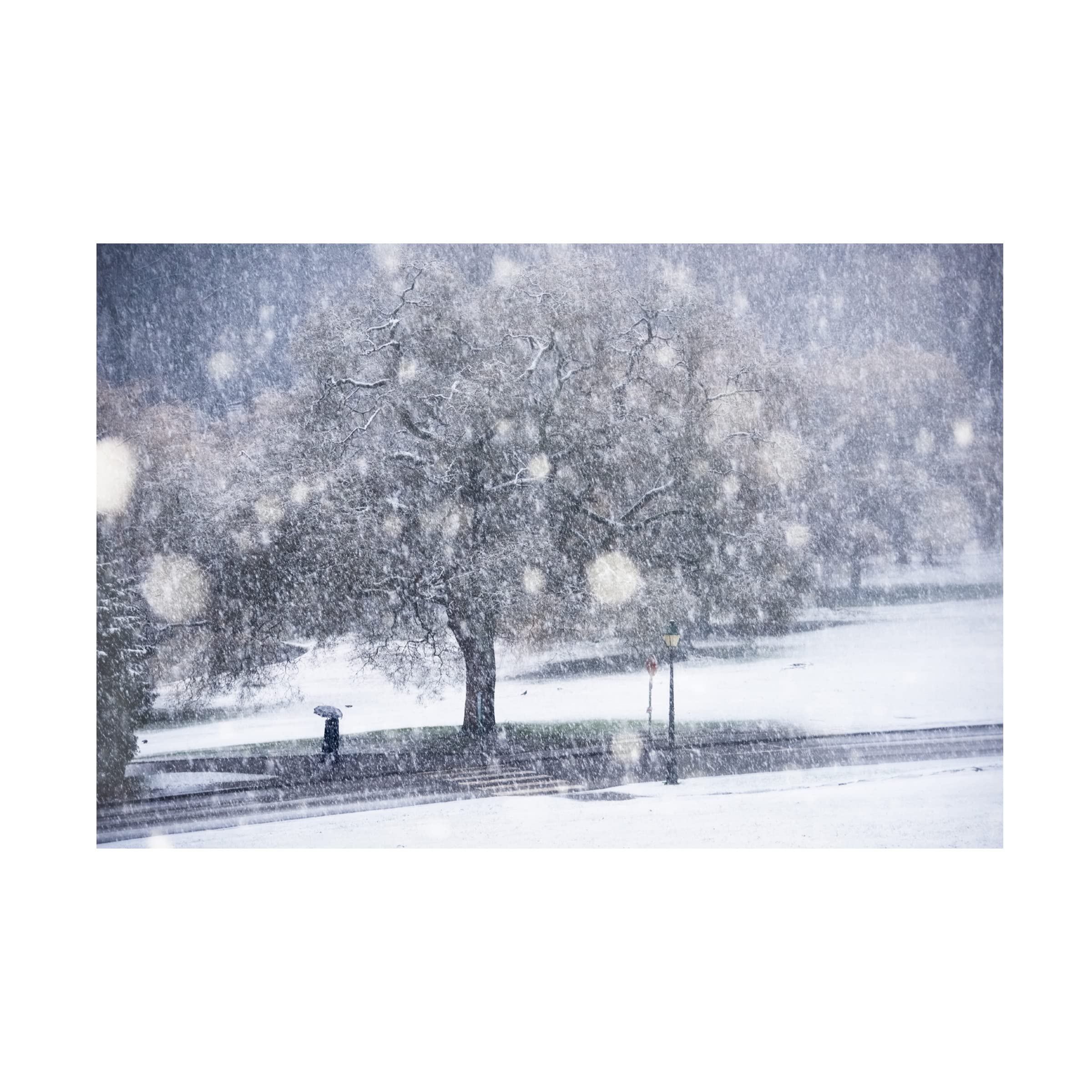Lucian Constantin 'The Silhouette' Canvas Wall Art Print - Modern Home Decor for Living Room, Bedroom & Office | Trademark Fine Art Collection