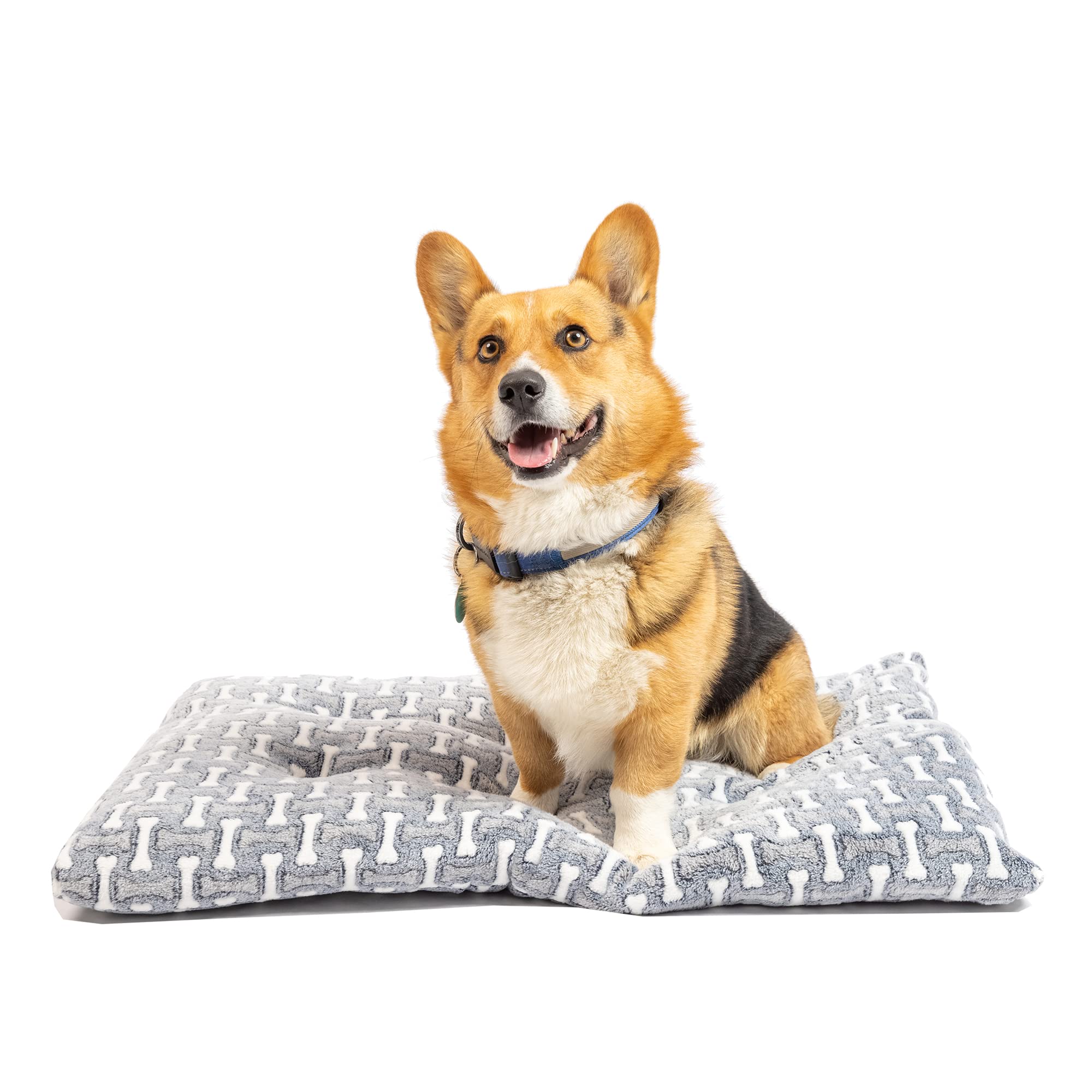 Premium Plush Washable Dog Bed Mat - 21