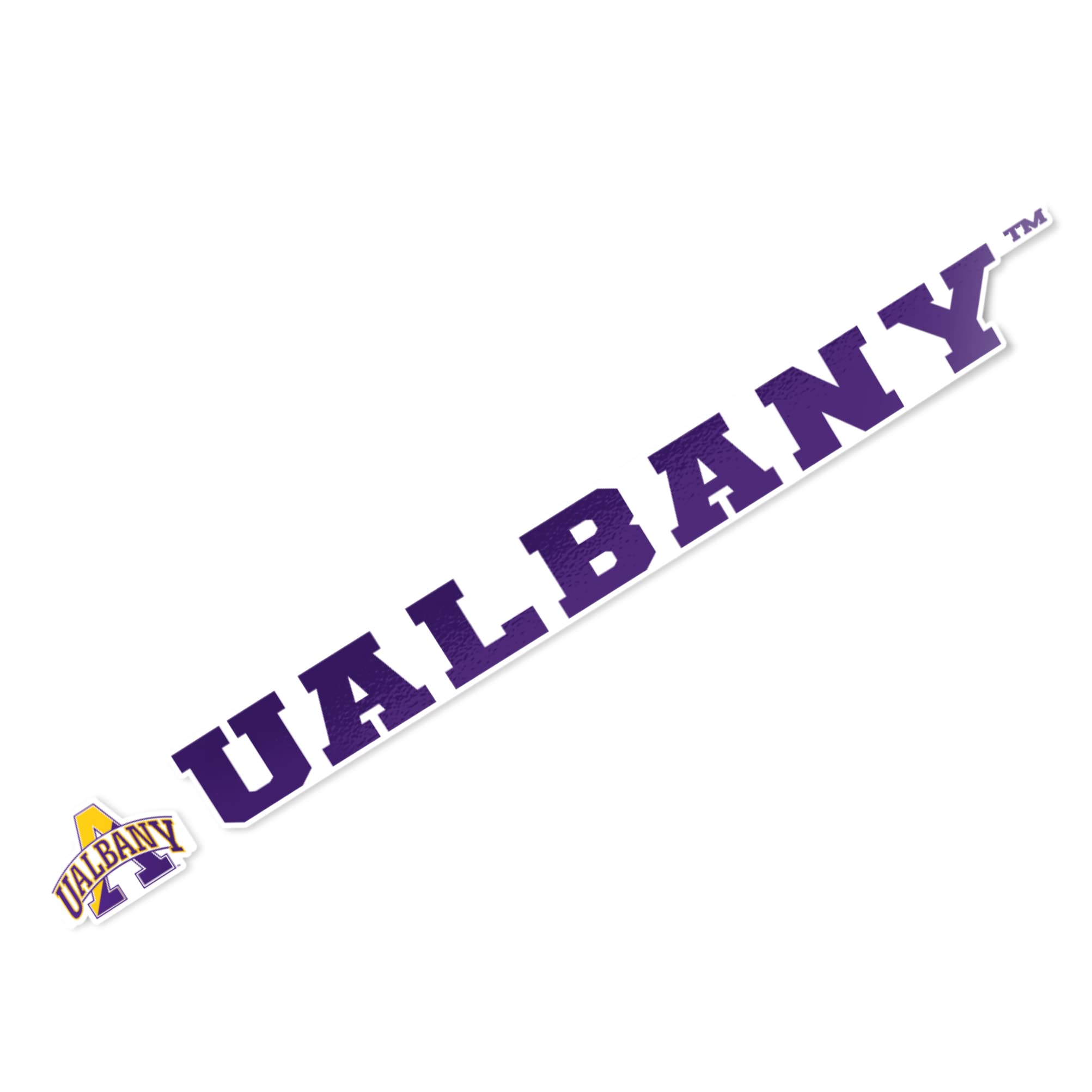 UALBANY SUNY Great Danes Desert Cactus University at Albany Vinyl Decal Sticker - 15 Inch Laptop, Water Bottle, Car & Scrapbook Decoration for College Pride & School Spirit