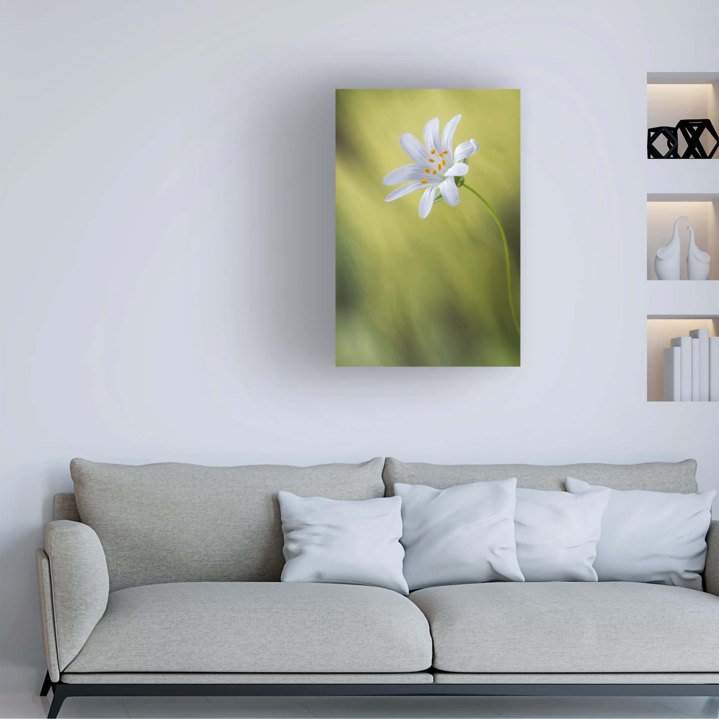 Trademark Fine Art 'Stitchwort' Canvas Wall Art by Mandy Disher - Floral Home Decor for Living Room, Bedroom & Office