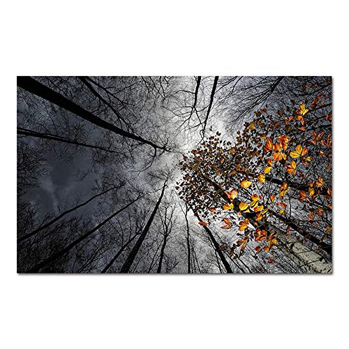 Sky In The Fall