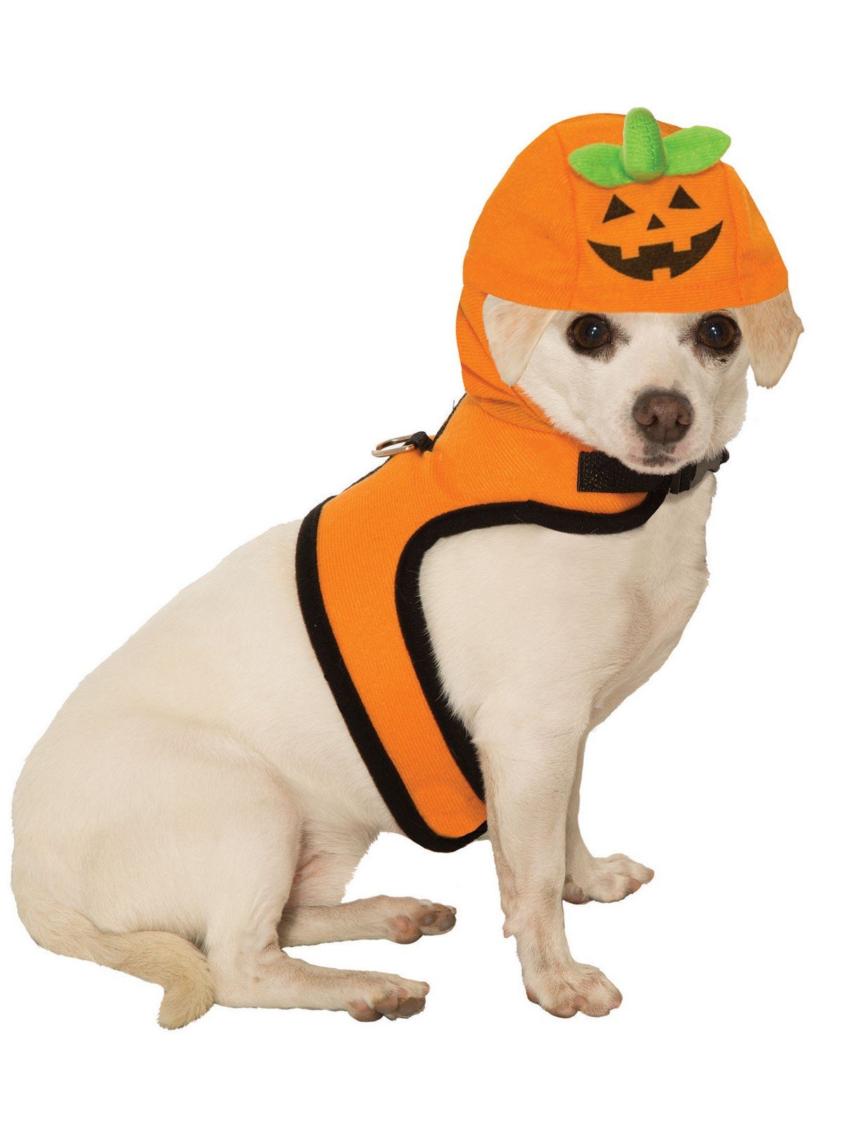 Rubies Pet Jack O'Lantern Halloween Dog Costume Harness - Medium Size for Small to Medium Dogs - Perfect for Halloween Parties & Pet Costume Contests