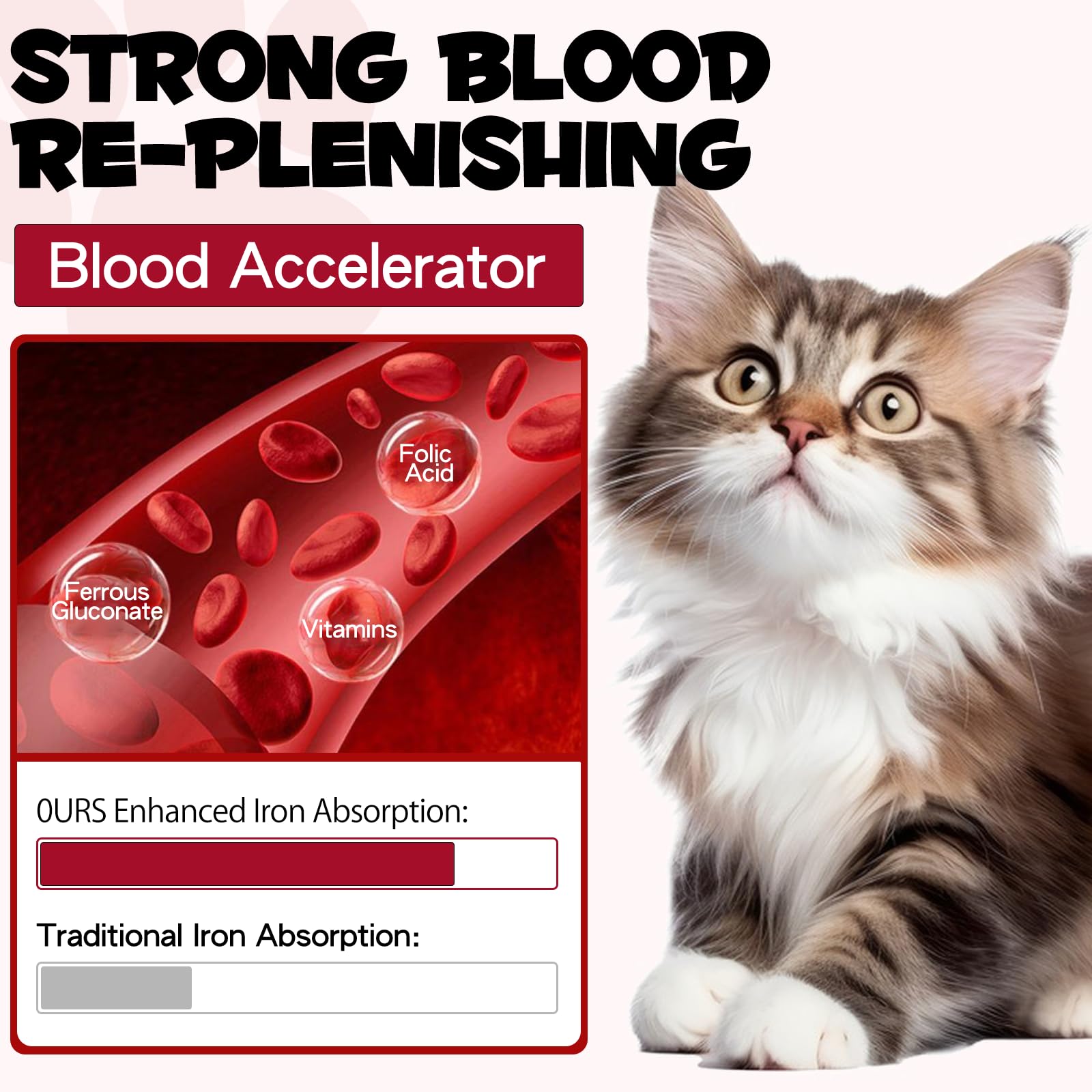JSBNQRMZ Liquid Iron Supplement for Cats - 60ML Cat Vitamin with Vitamin C & B12 - Supports Anemia & Blood Health - Promotes Red Blood Cell Formation - Ideal for Weak or Anemic Felines - Perfect for Daily Health Maintenance & Recovery