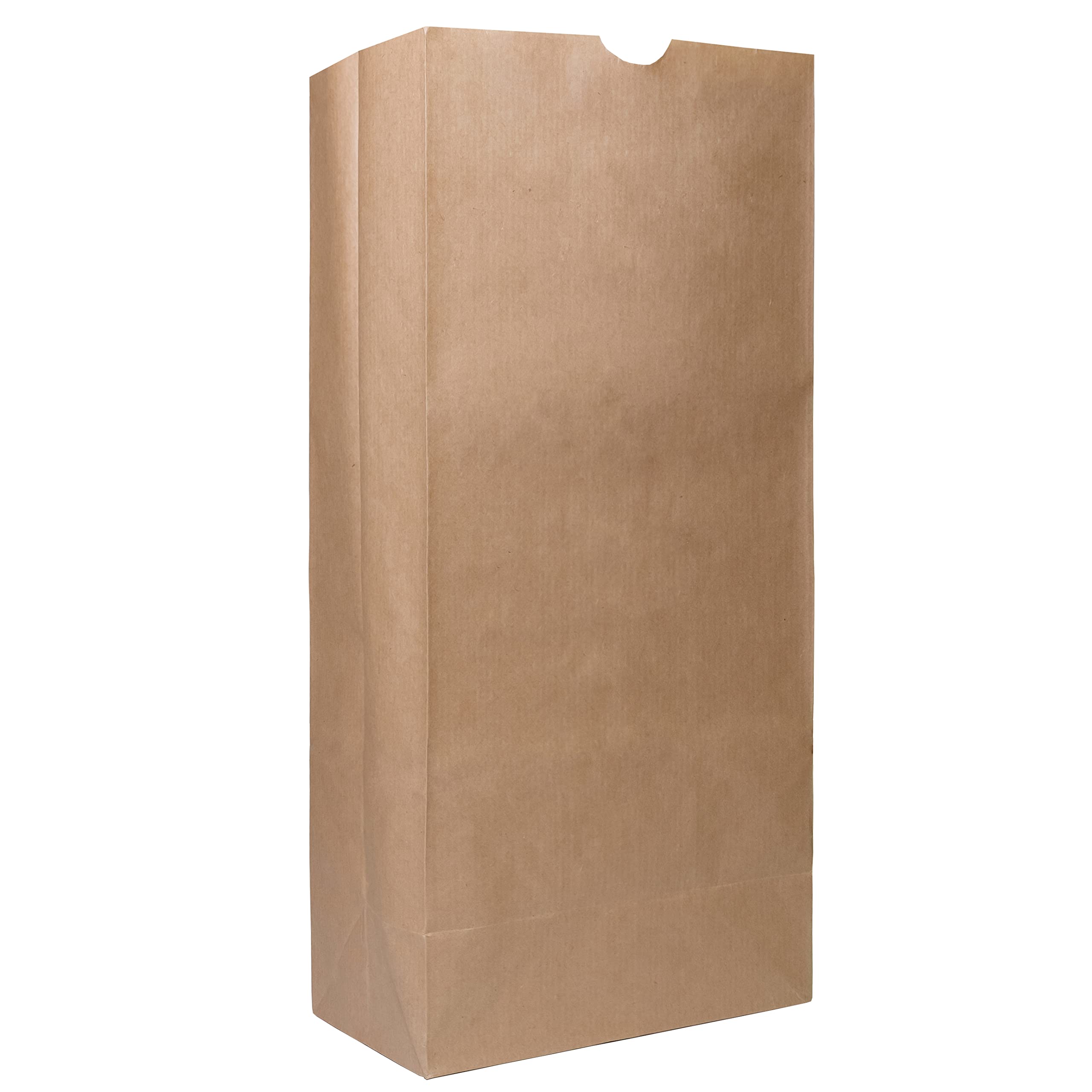 EcoQuality 500 Brown Kraft Paper Bags - 25 lb Capacity Recyclable Lunch Bags (8.25
