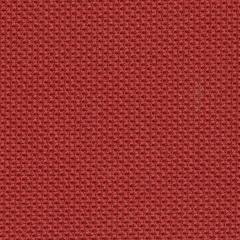 Scarlet Fabric